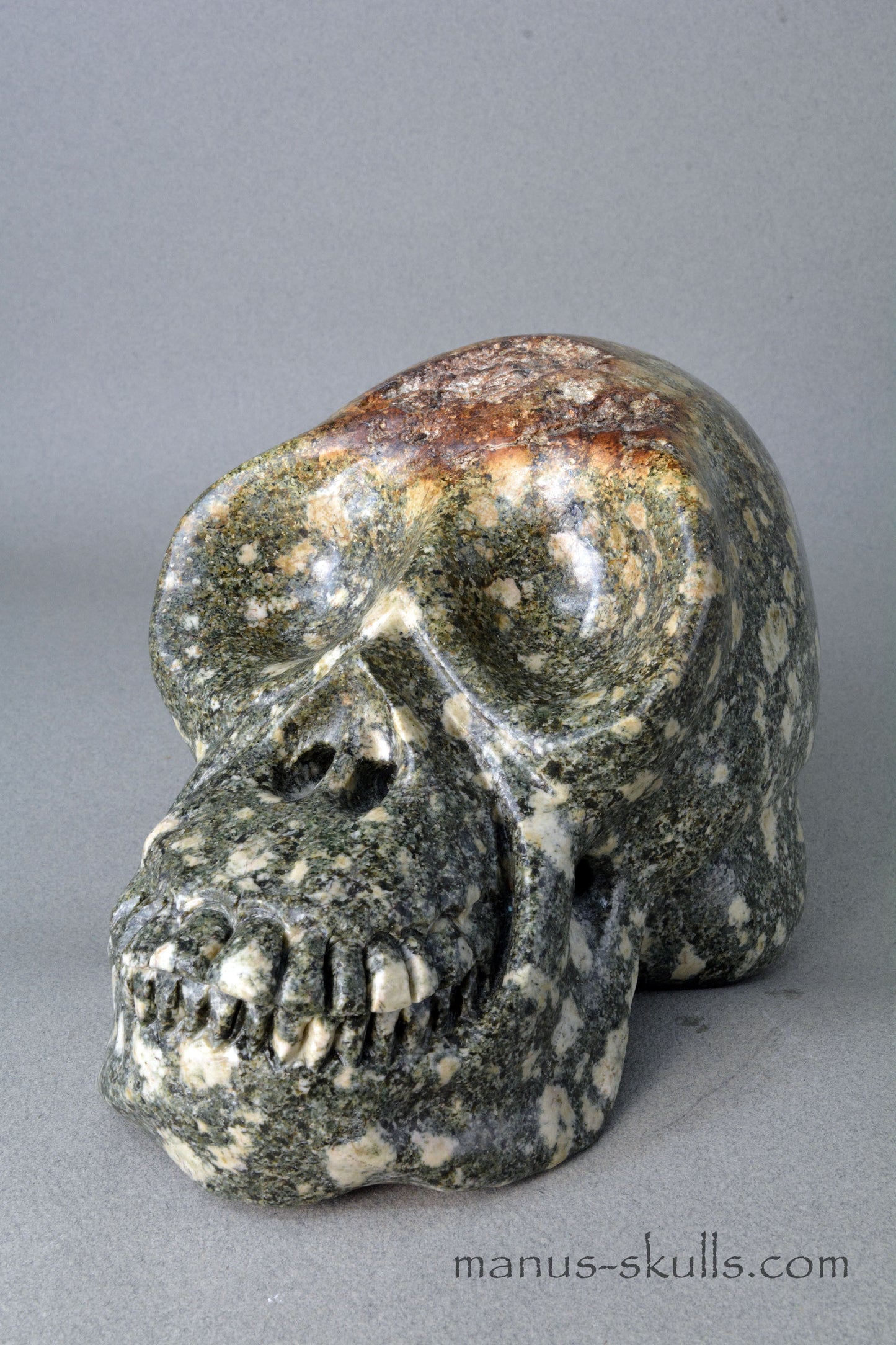 Preseli Bluestone open minded Skull