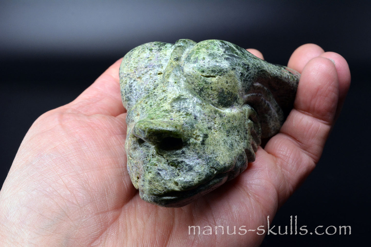 Chromite in Diopside Dragon
