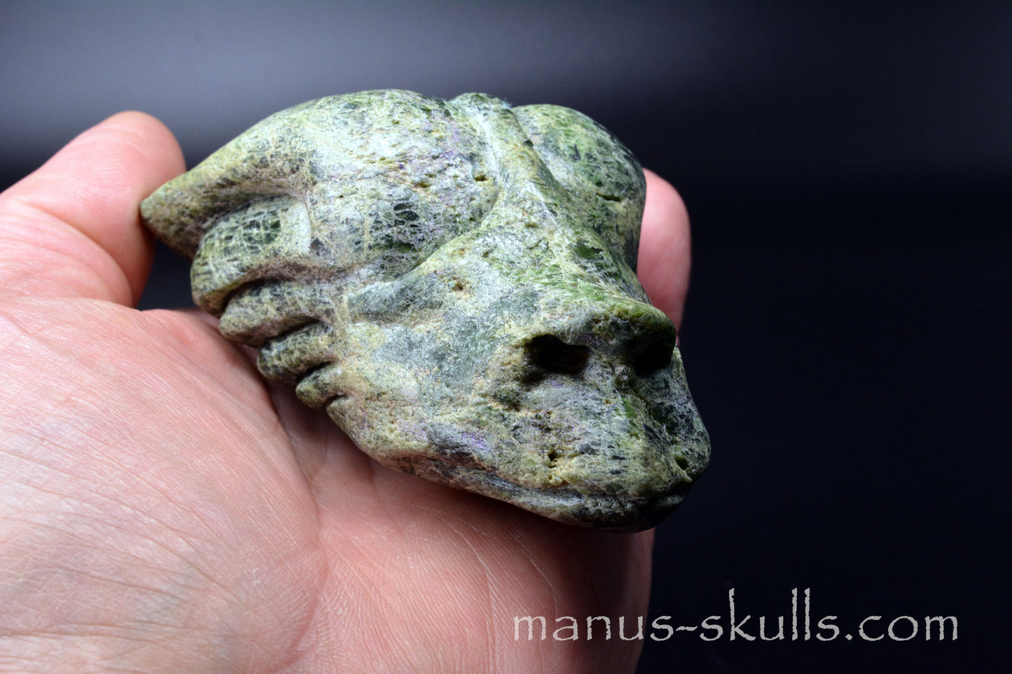 Chromite in Diopside Dragon