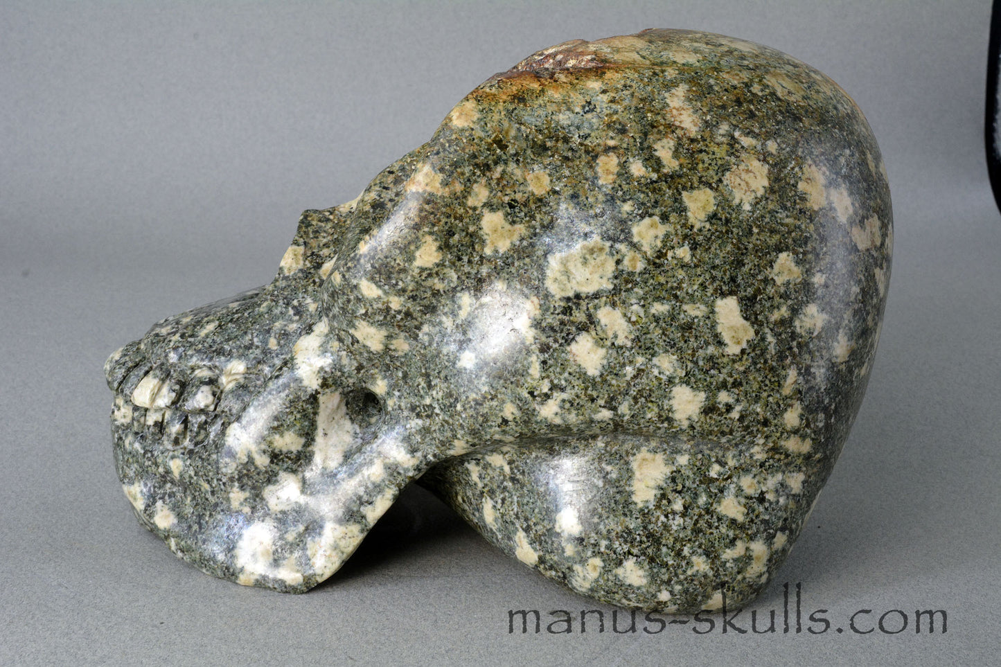 Preseli Bluestone open minded Skull