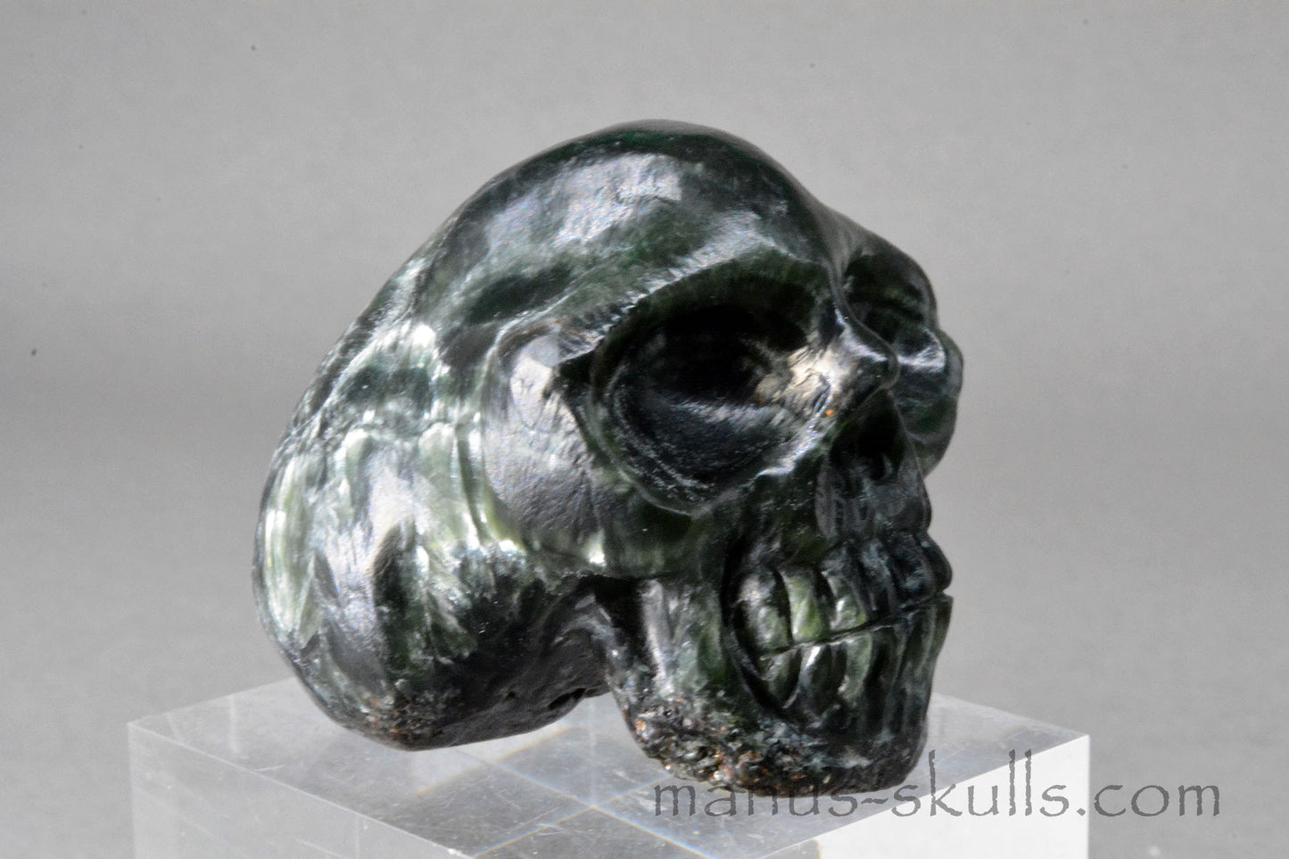 Seraphinite Skull