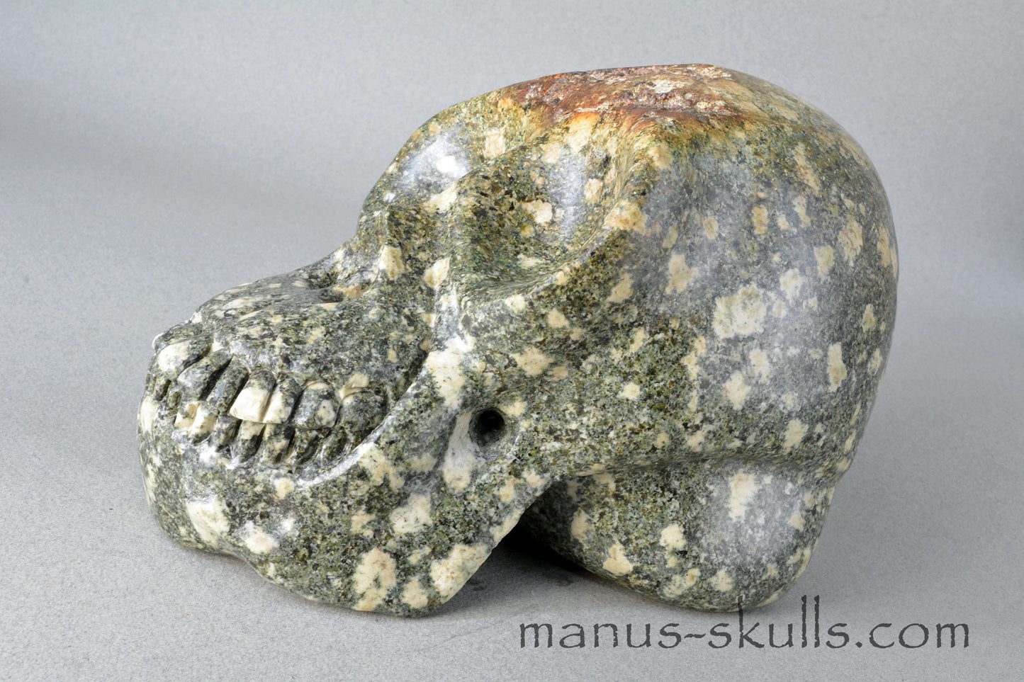 Preseli Bluestone open minded Skull