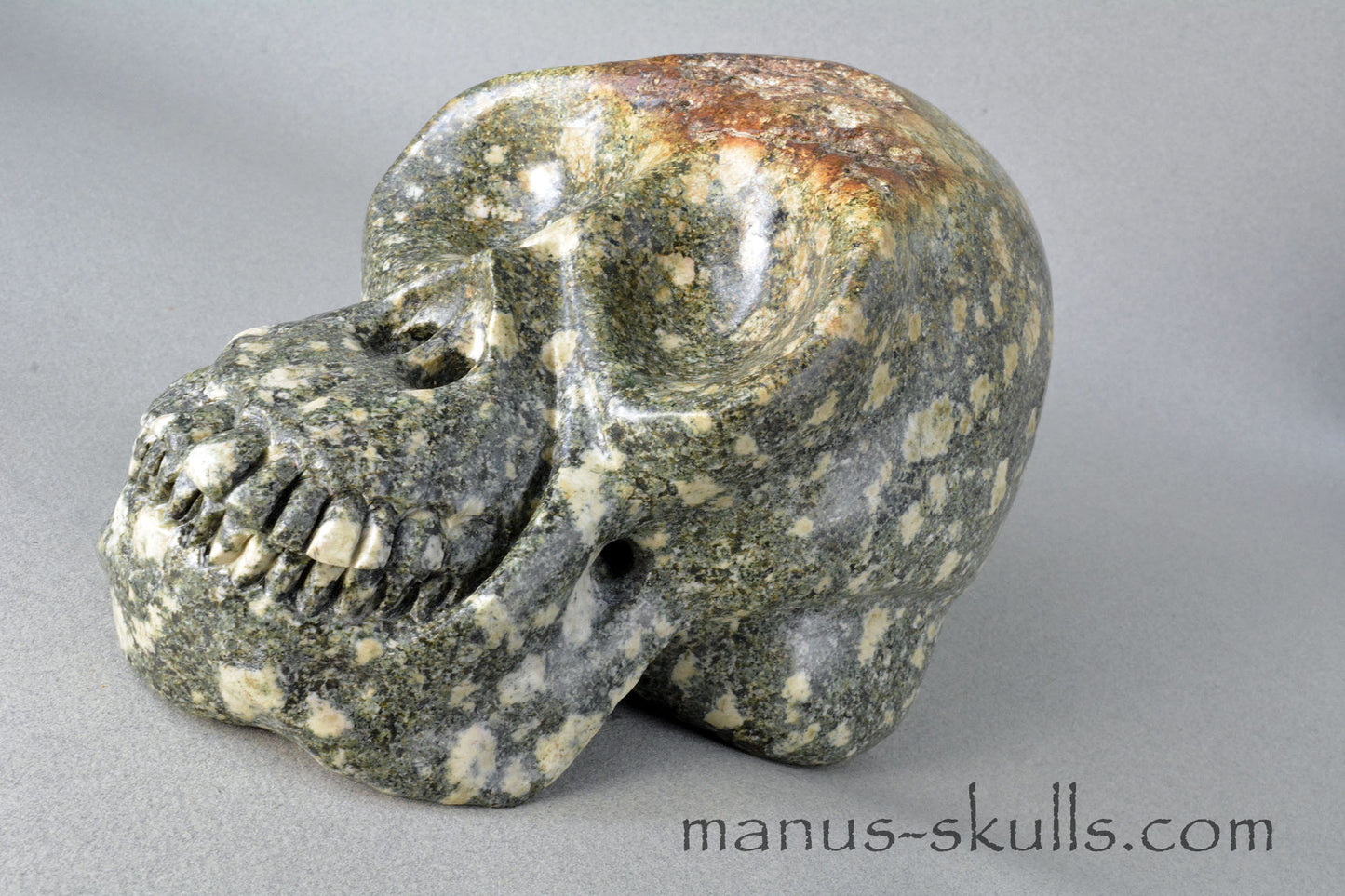 Preseli Bluestone open minded Skull