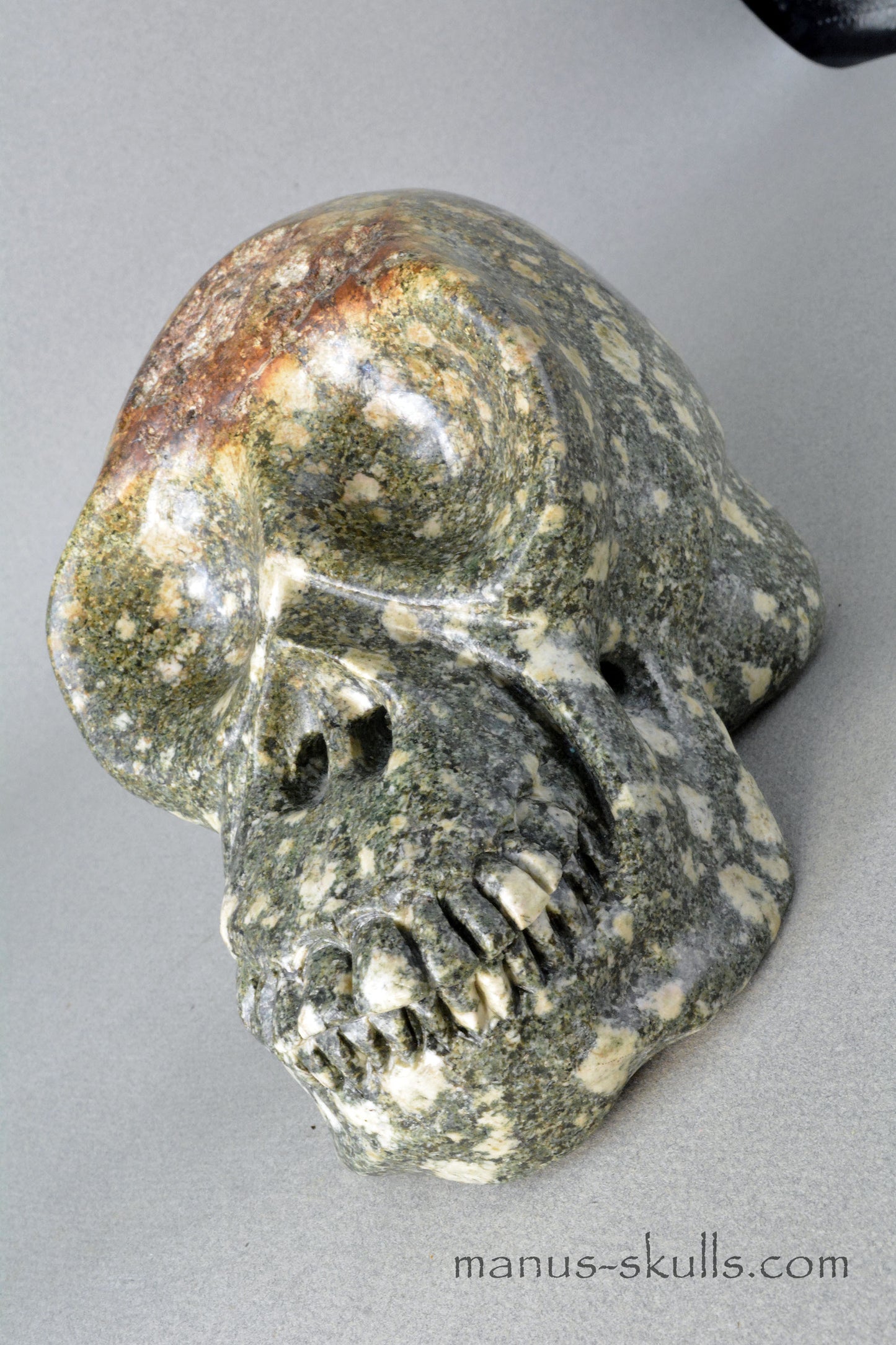 Preseli Bluestone open minded Skull