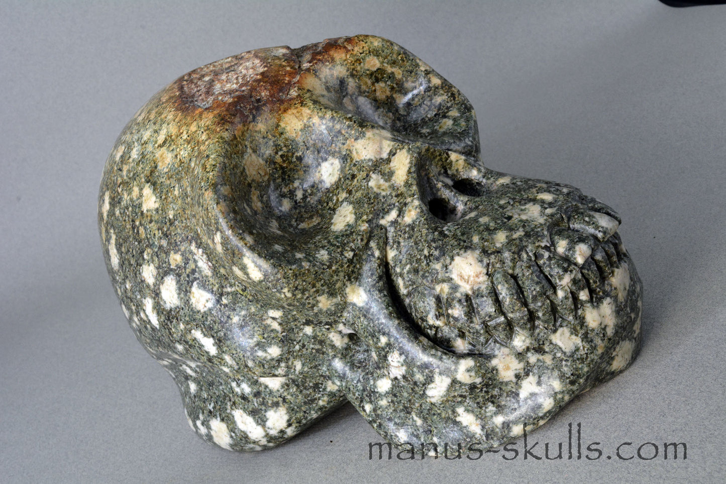 Preseli Bluestone open minded Skull
