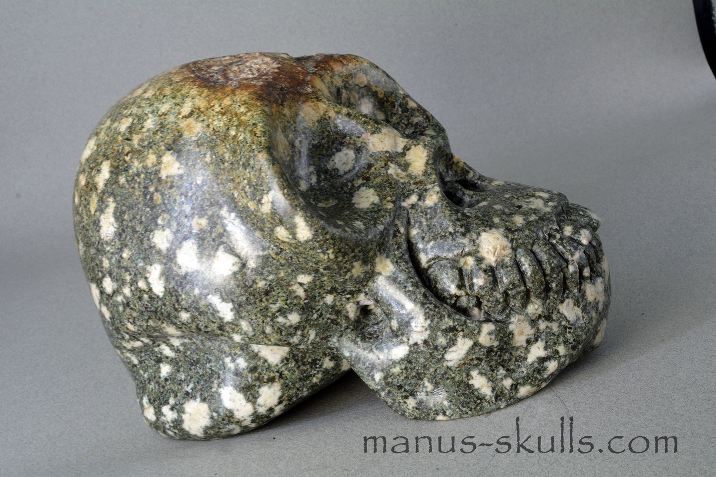 Preseli Bluestone open minded Skull