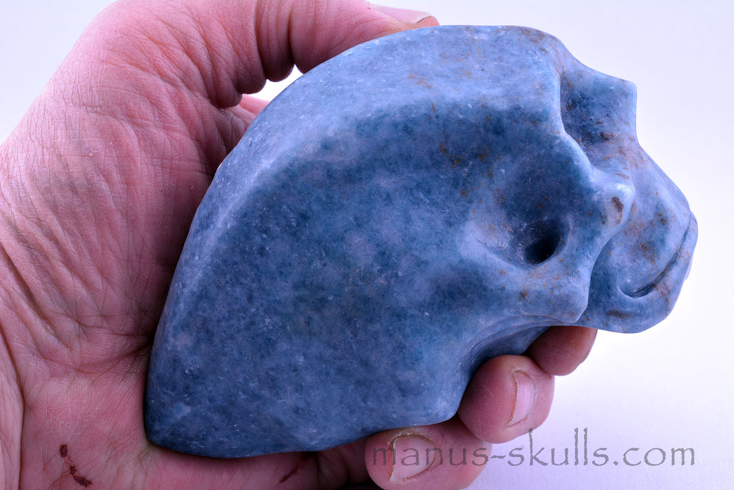 Toothless Traveller TROLLEITE Skull