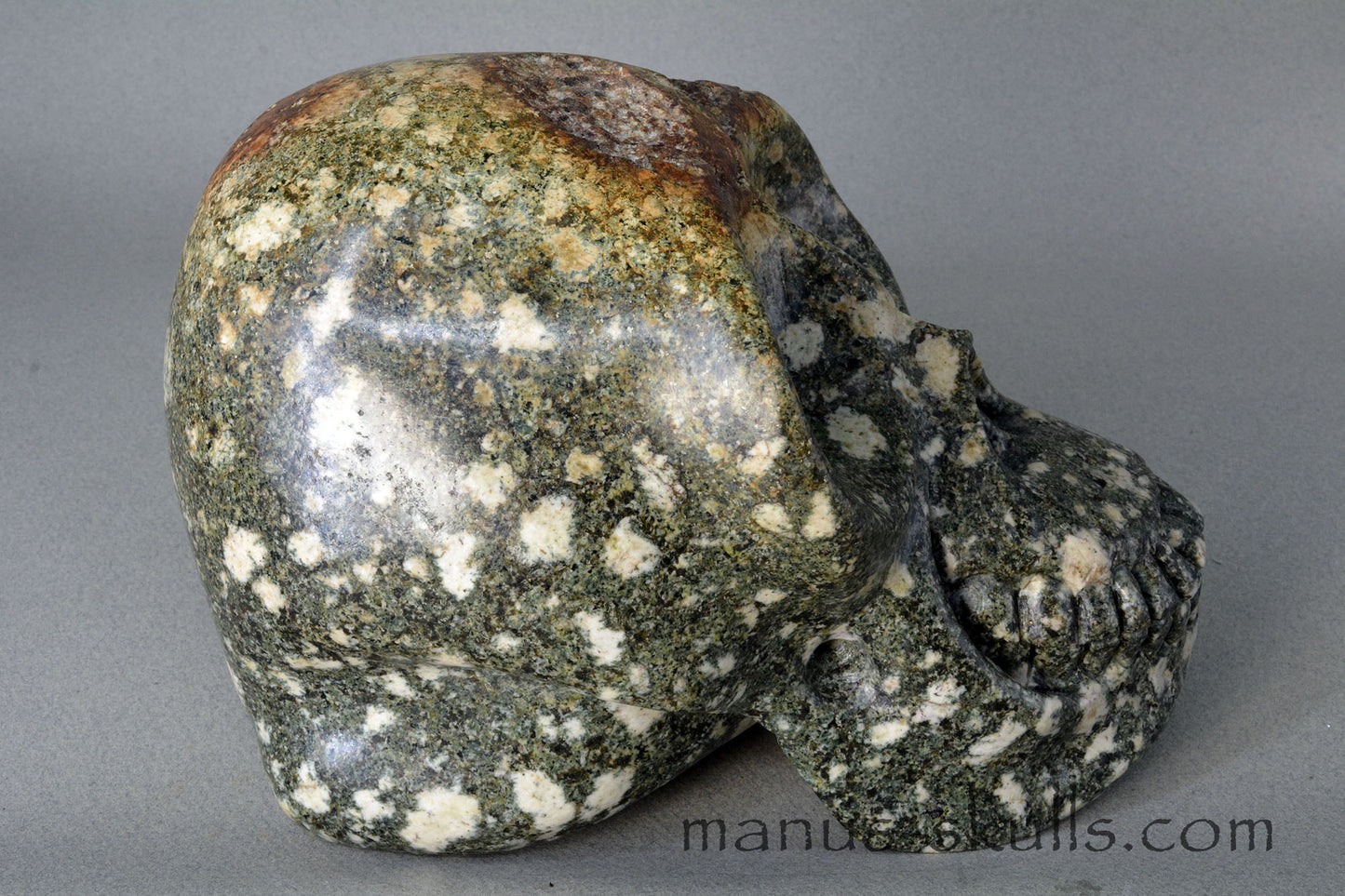 Preseli Bluestone open minded Skull