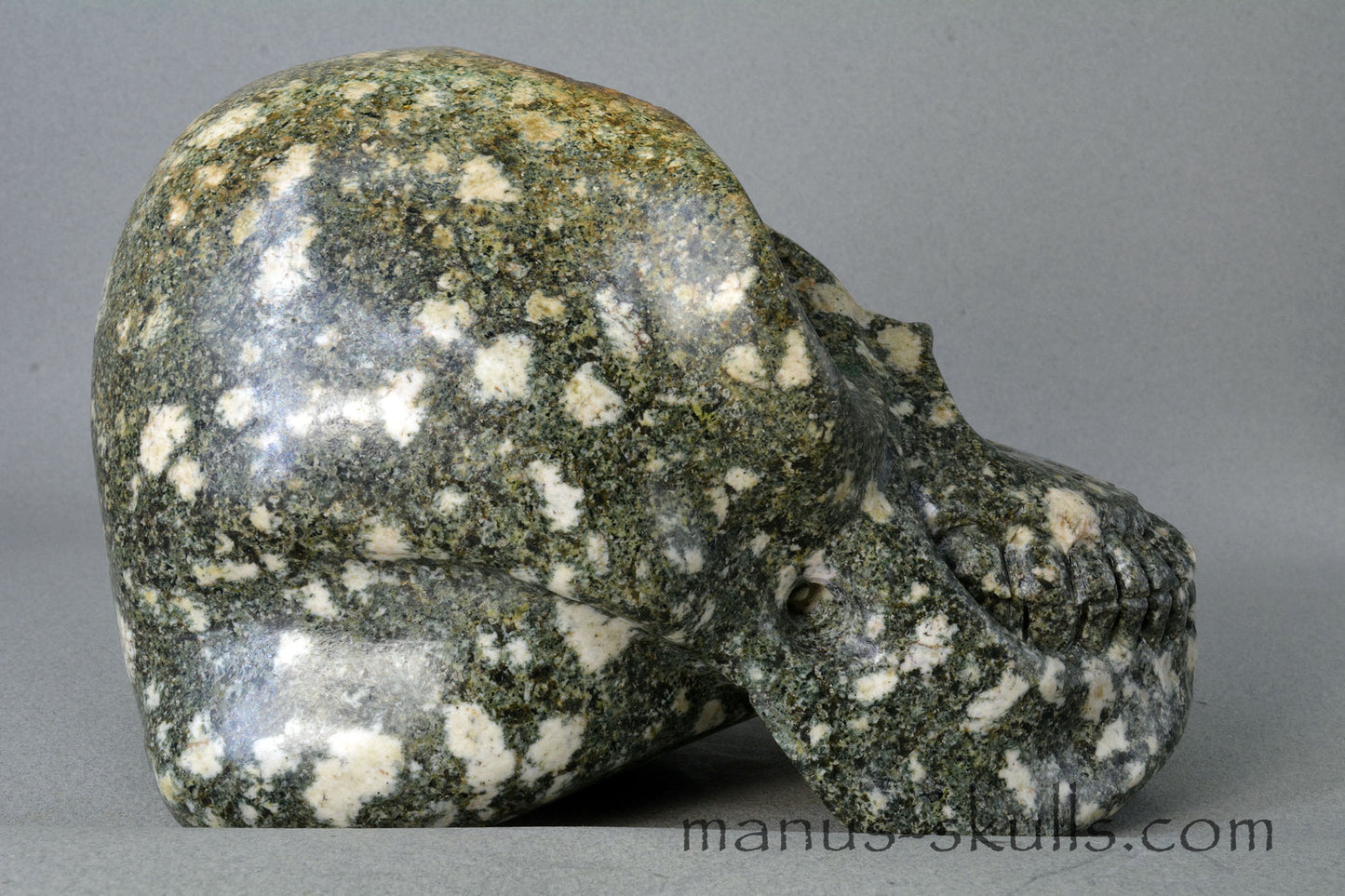 Preseli Bluestone open minded Skull
