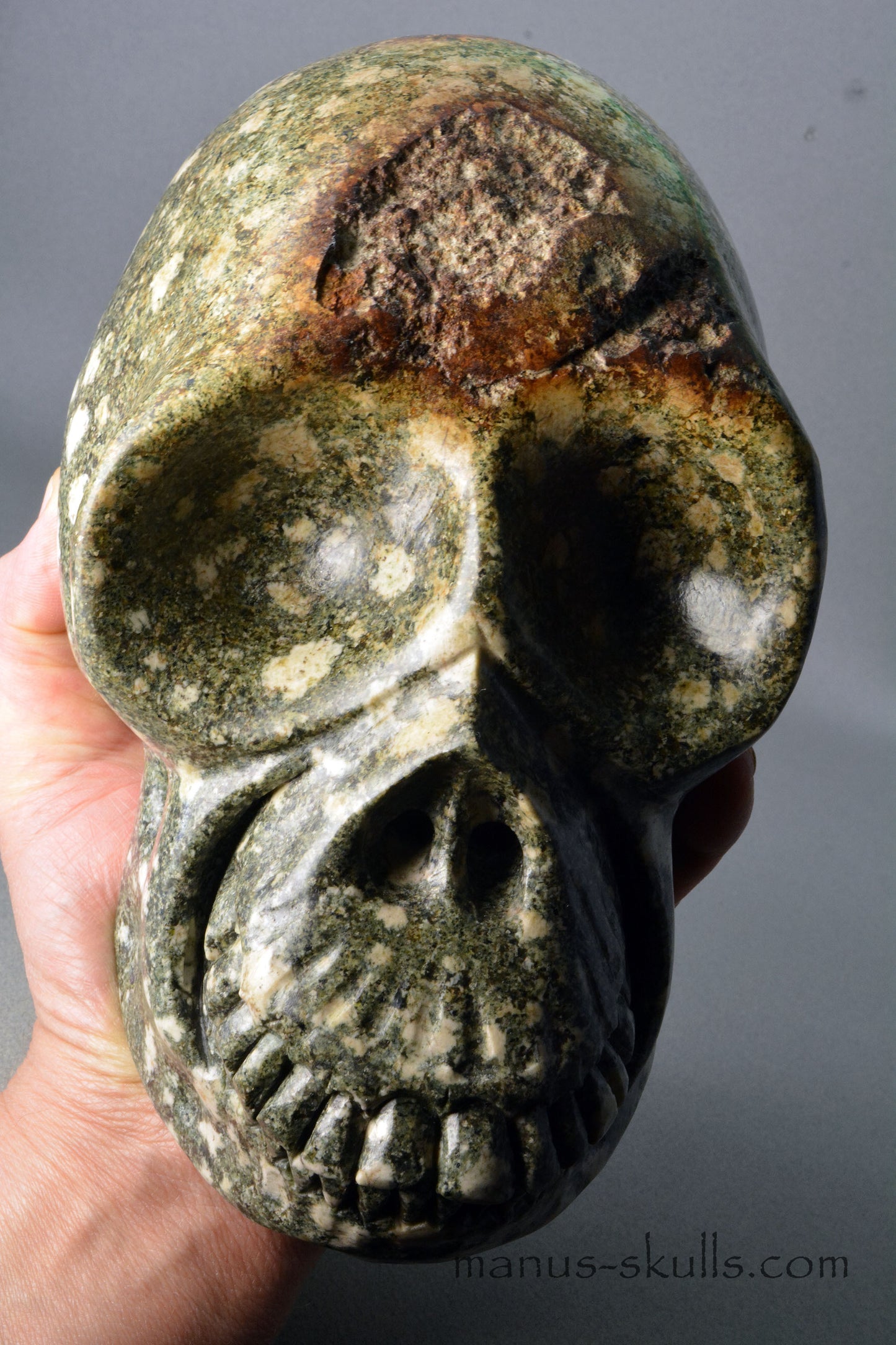 Preseli Bluestone open minded Skull