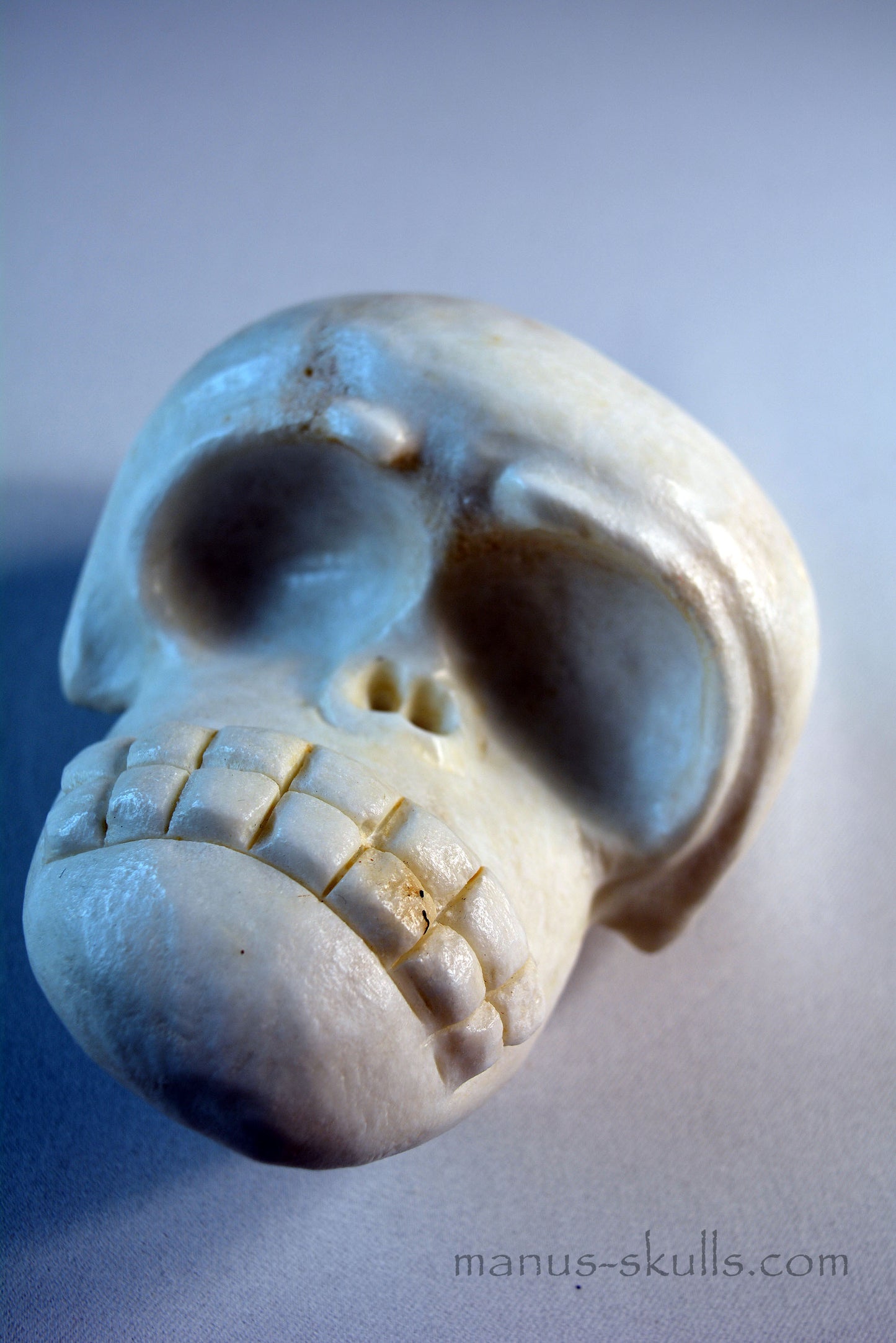 Evolian Manus Skull 2022