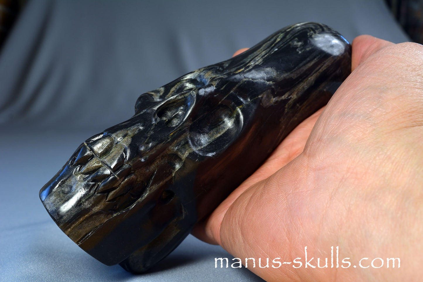 Isua Coneahead Skull