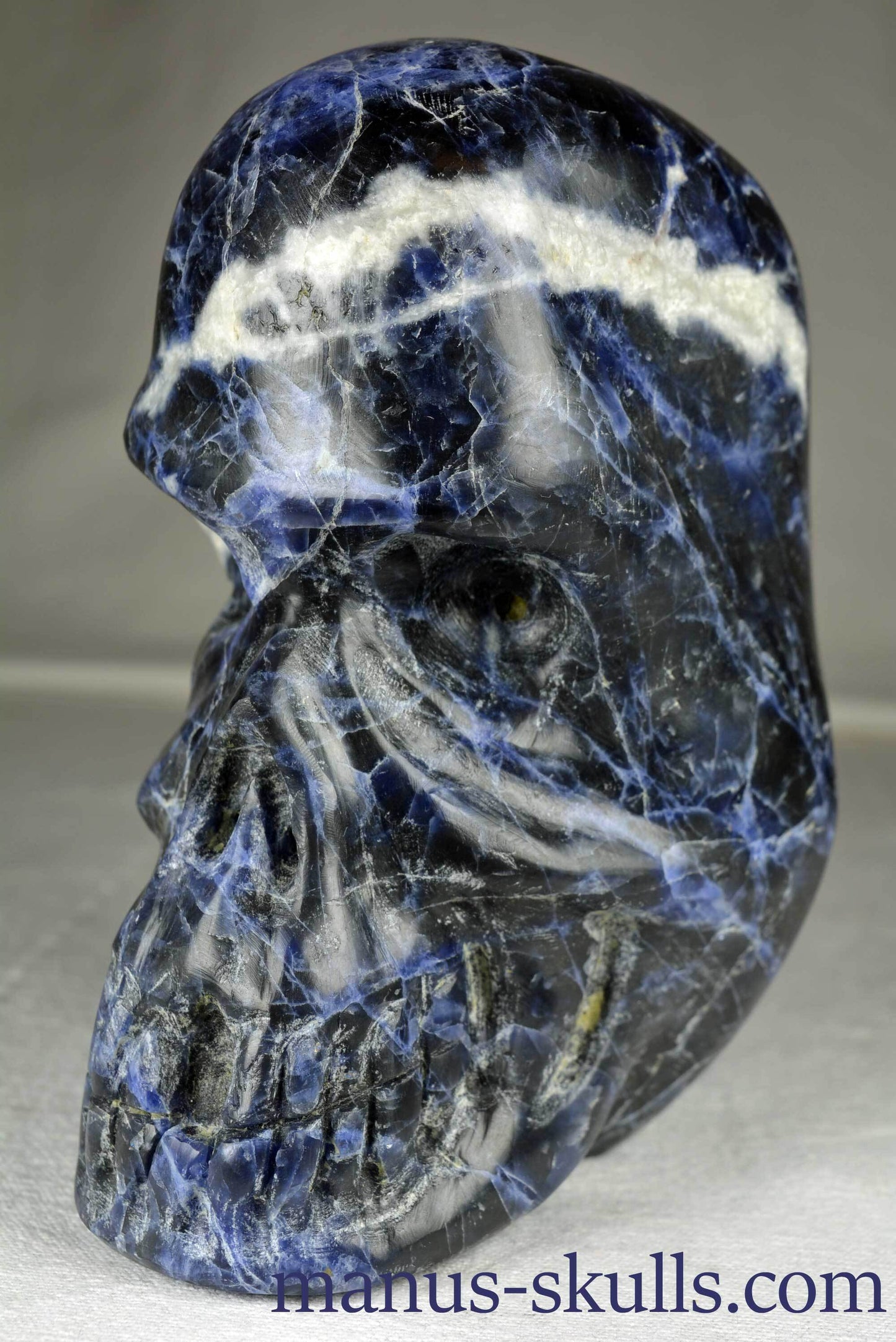 Orgone in Sodalite Skull