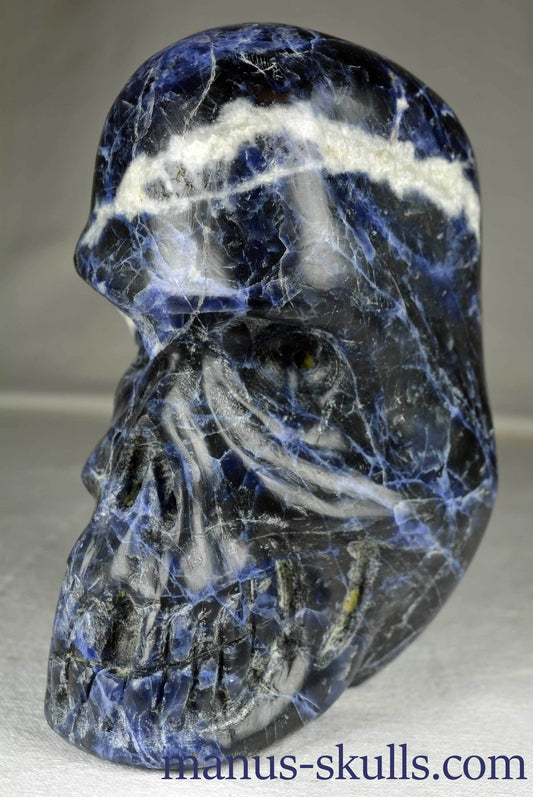 Orgone in Sodalite Skull