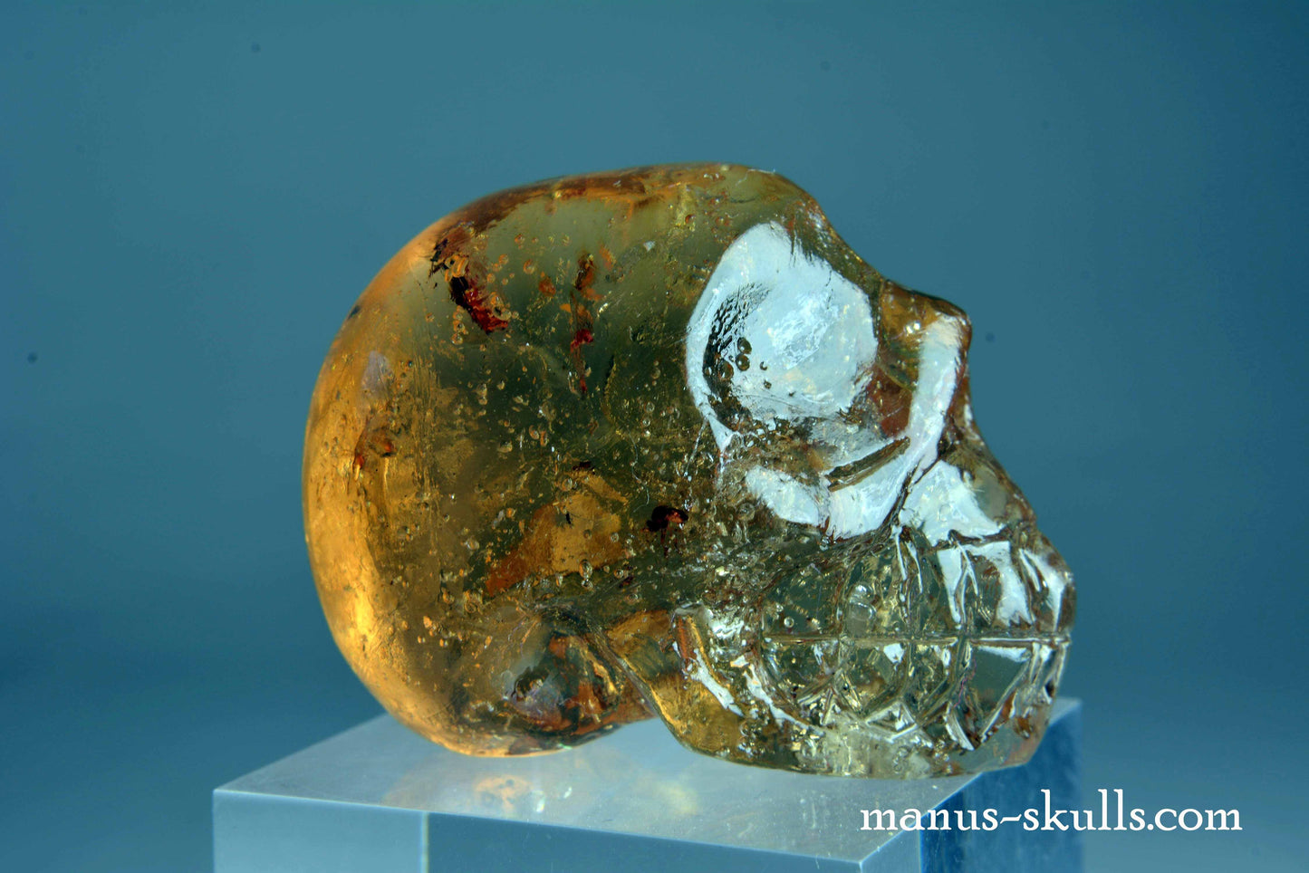 Amber Skull;