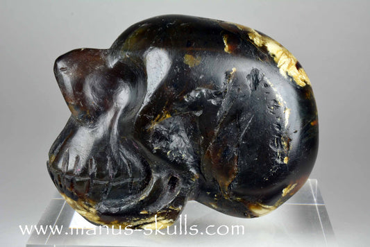 Indonesian Amber Skull
