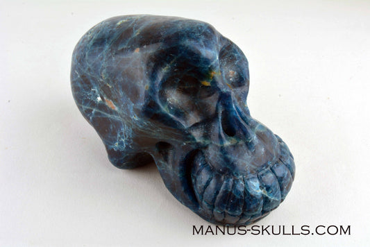 Apatite Skull