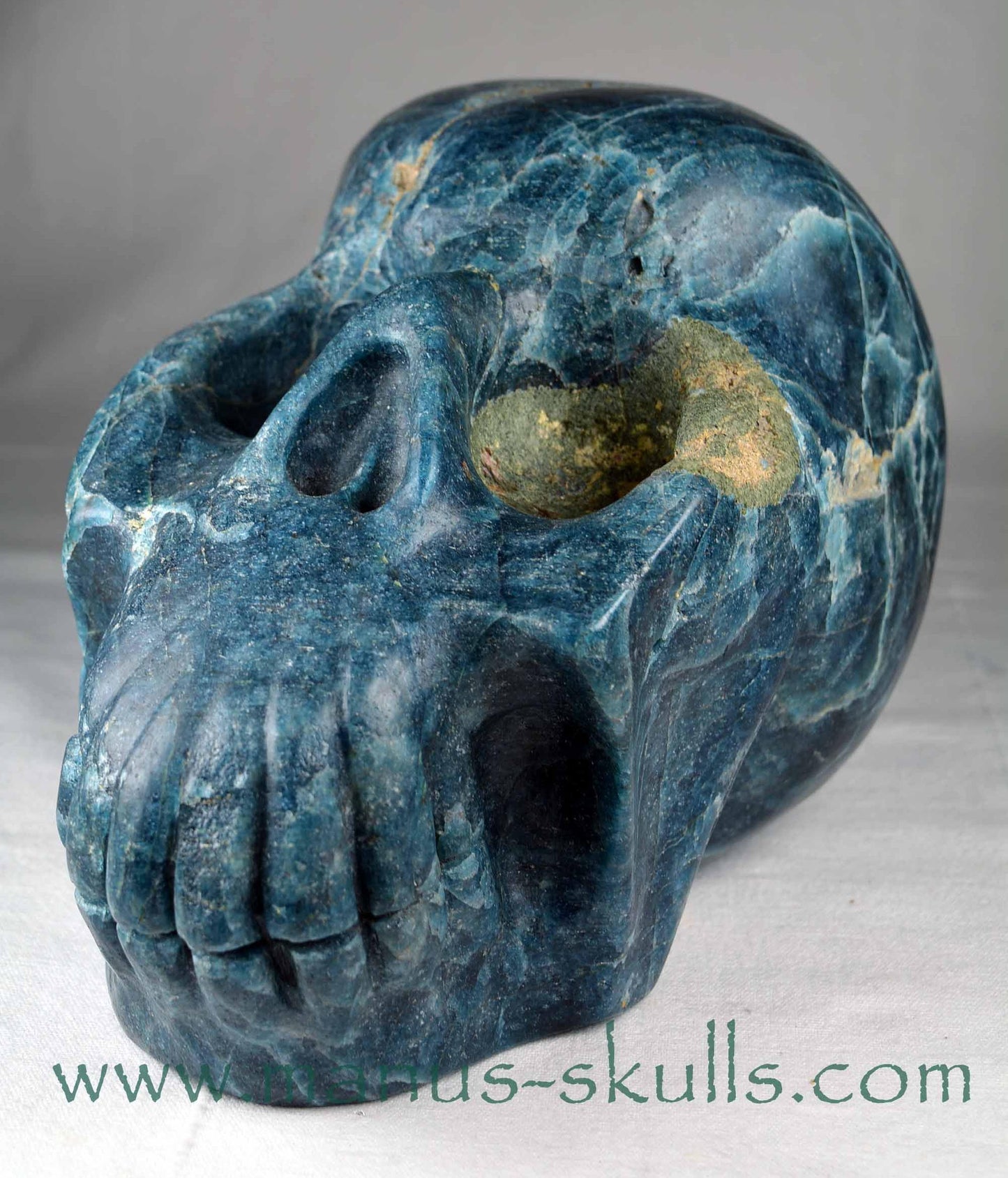Apatite Skull