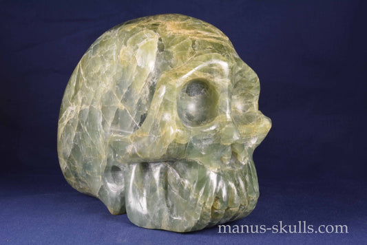 Beryl Skull