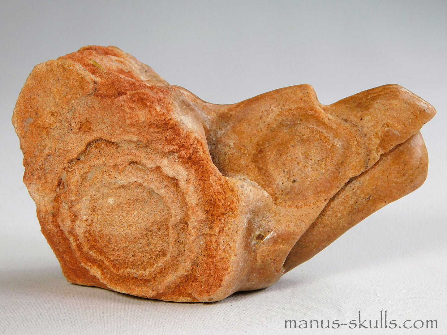 Stromatolite Skull