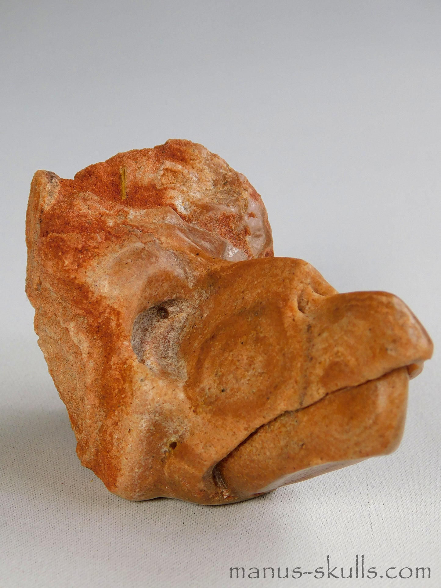 Stromatolite Skull