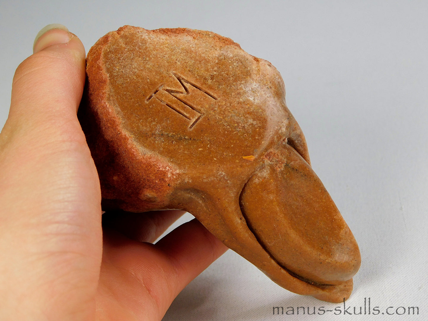 Stromatolite Skull