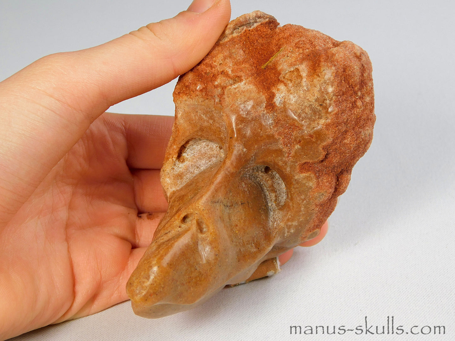 Stromatolite Skull