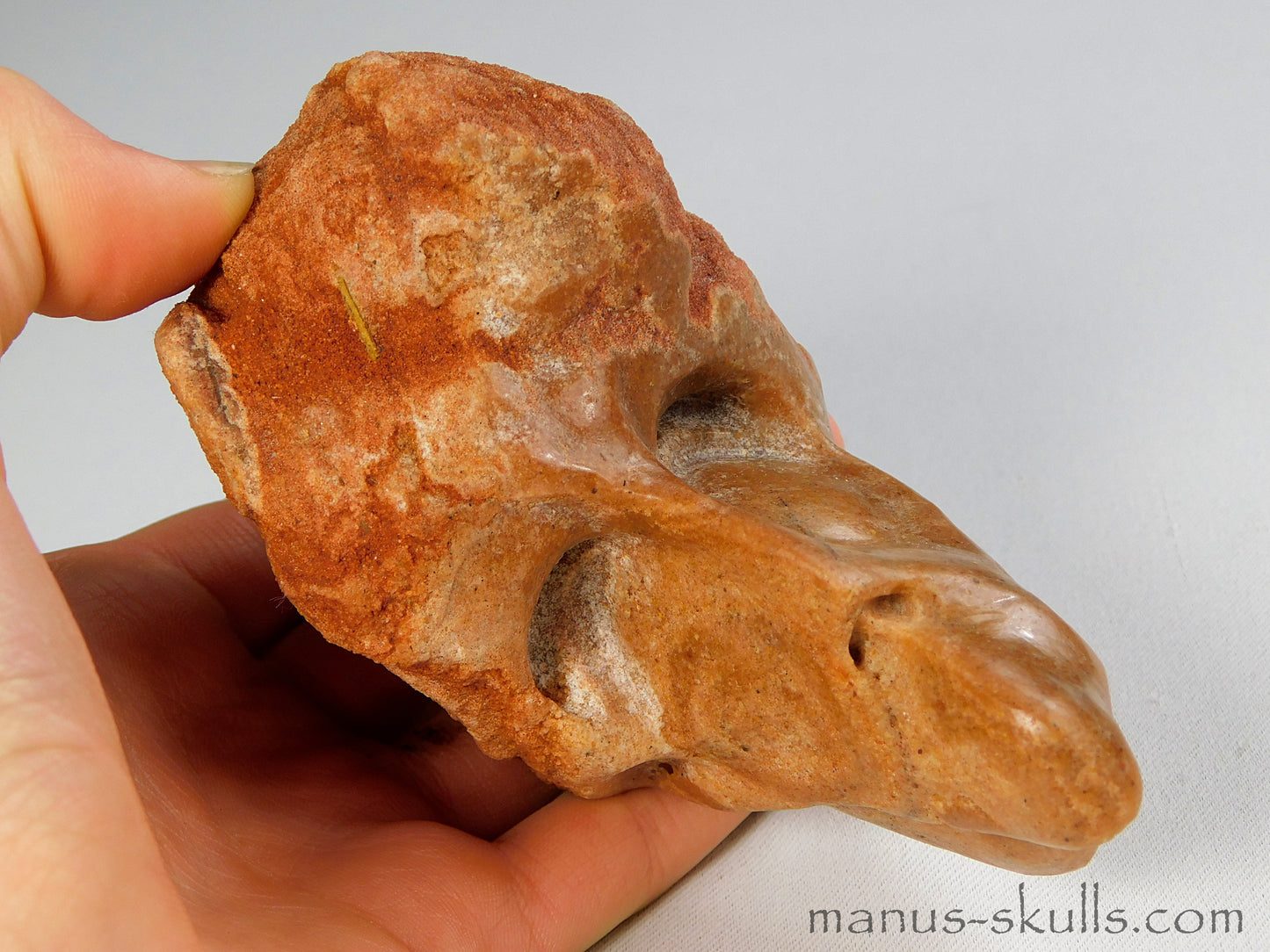 Stromatolite Skull