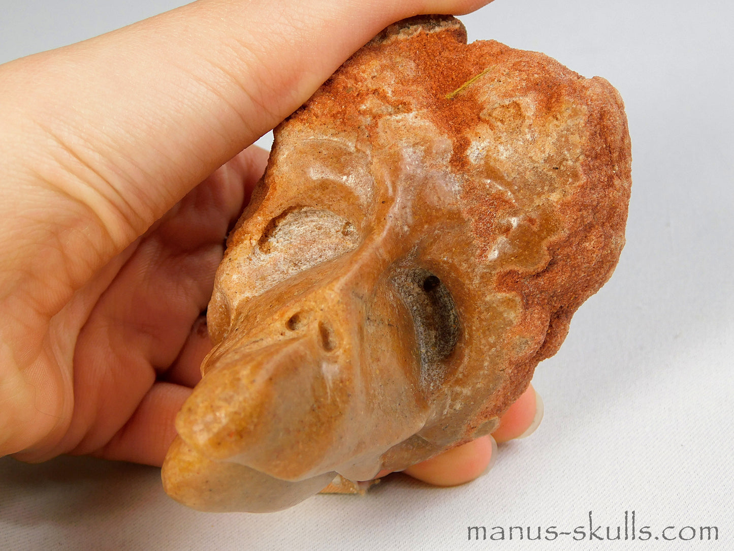 Stromatolite Skull