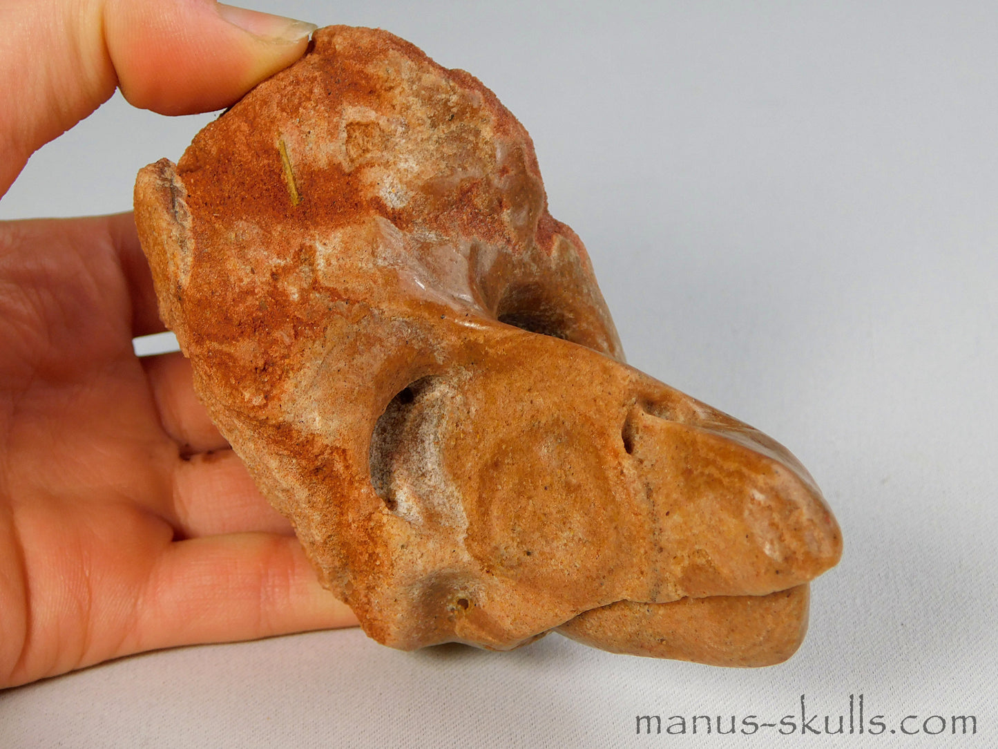 Stromatolite Skull