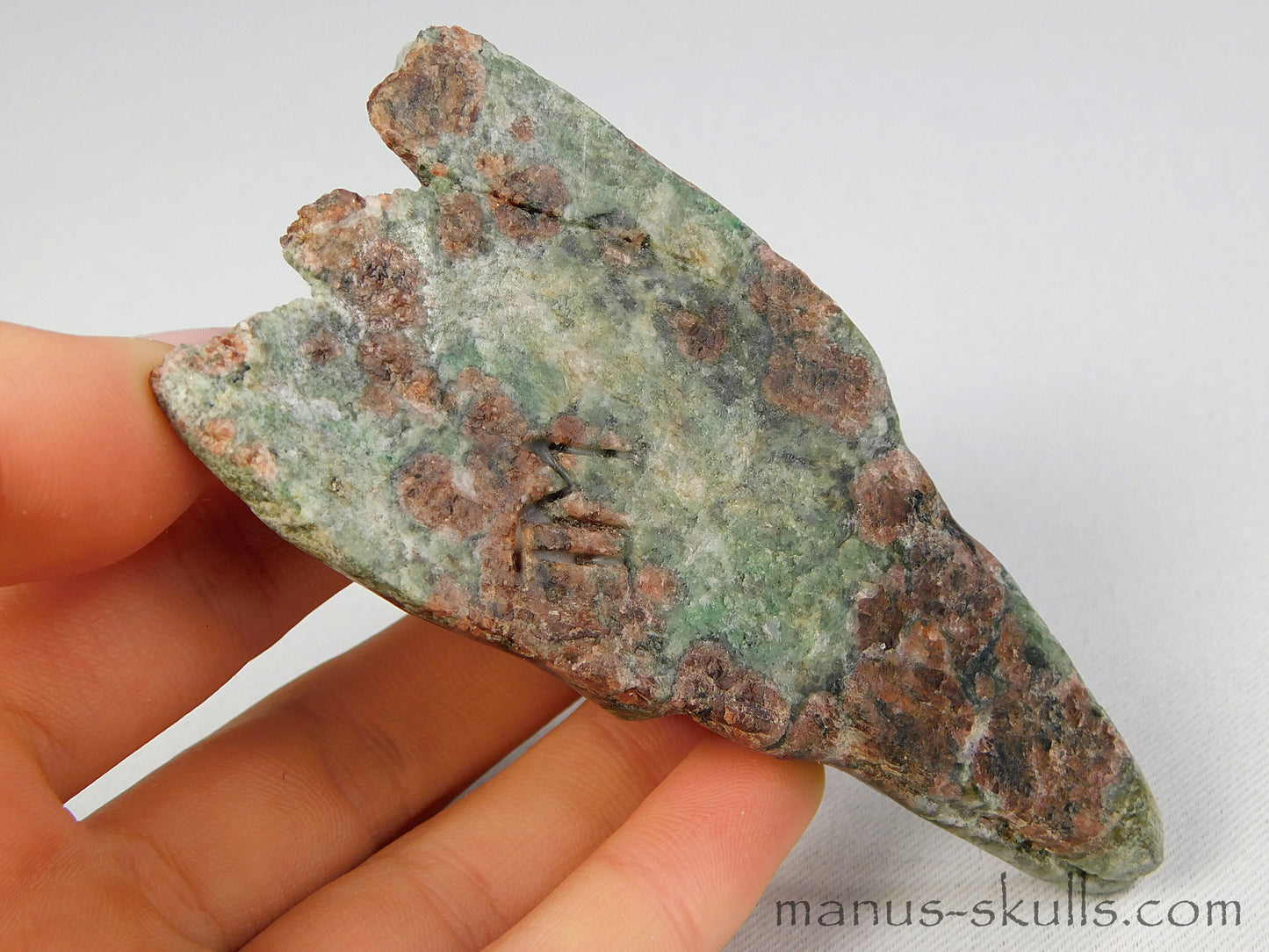 Eclogite with Garnet Bird Skull Dragon