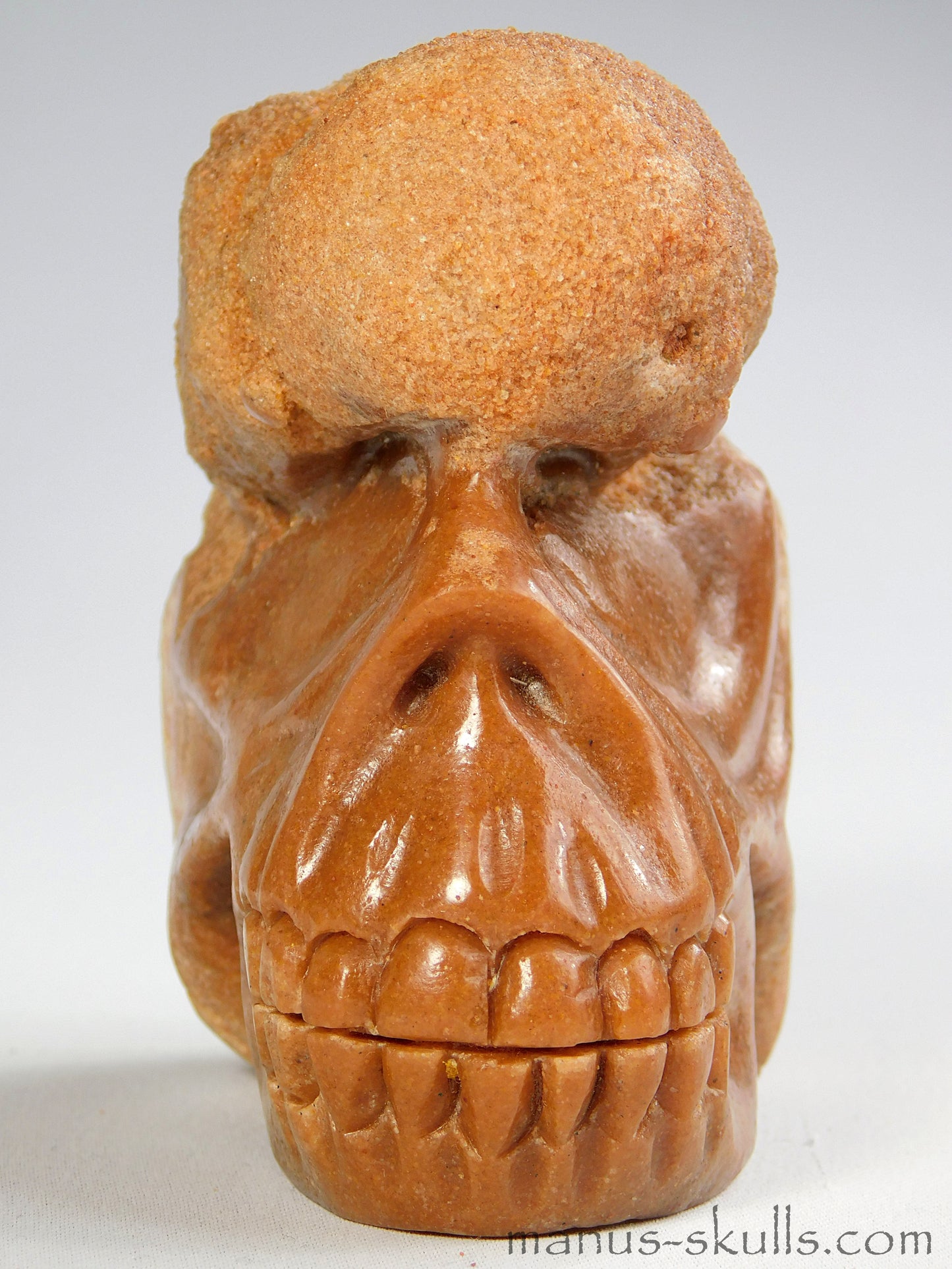Stromatolite Skull