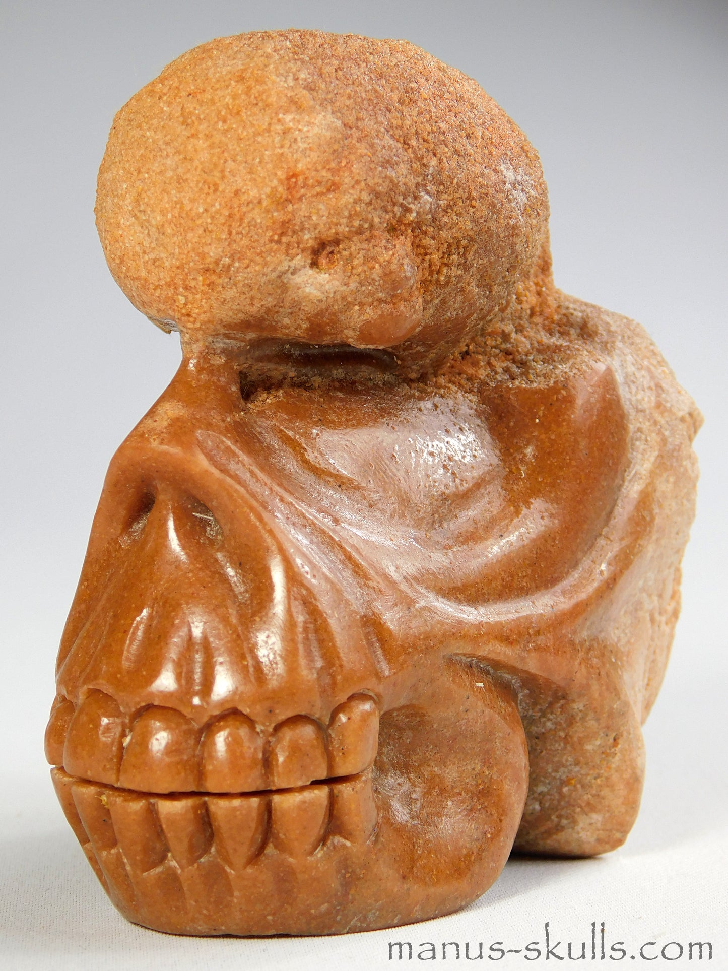 Stromatolite Skull