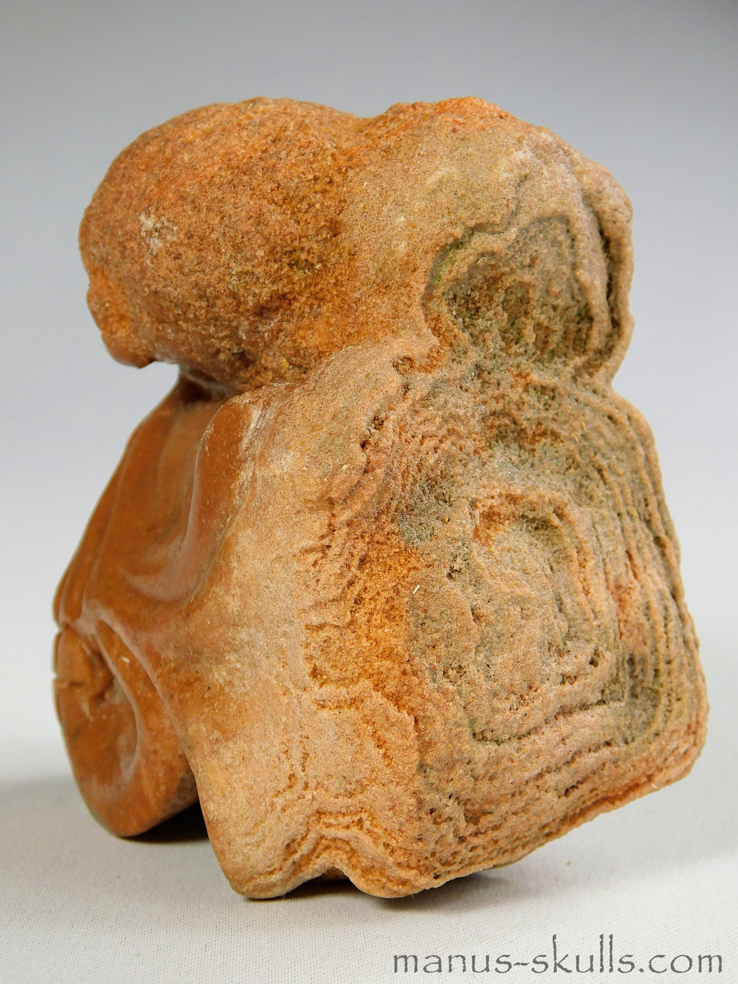 Stromatolite Skull