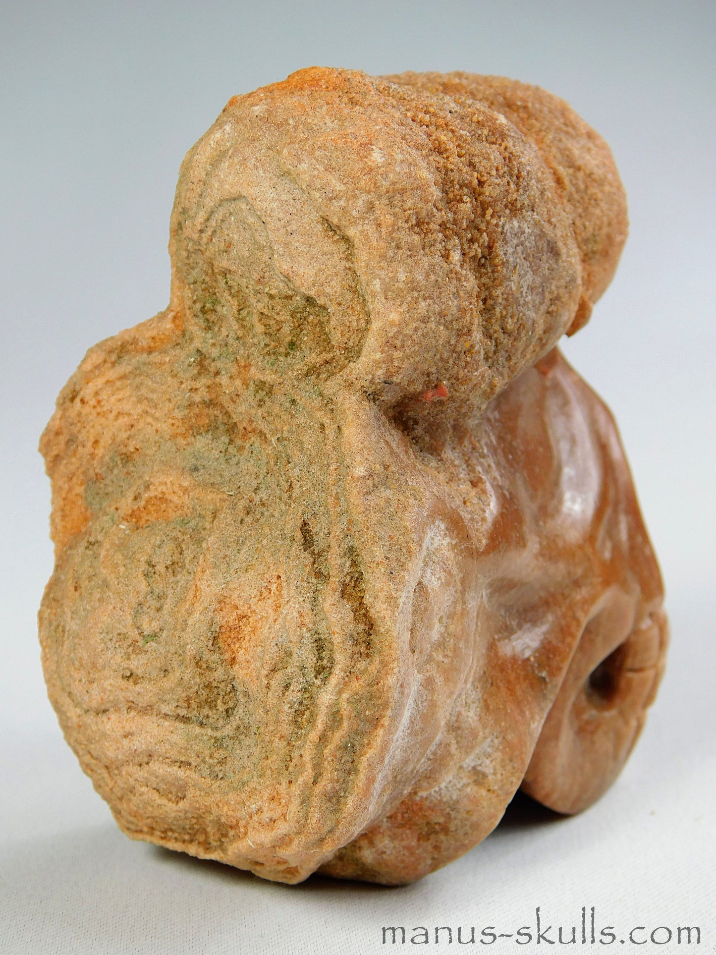 Stromatolite Skull