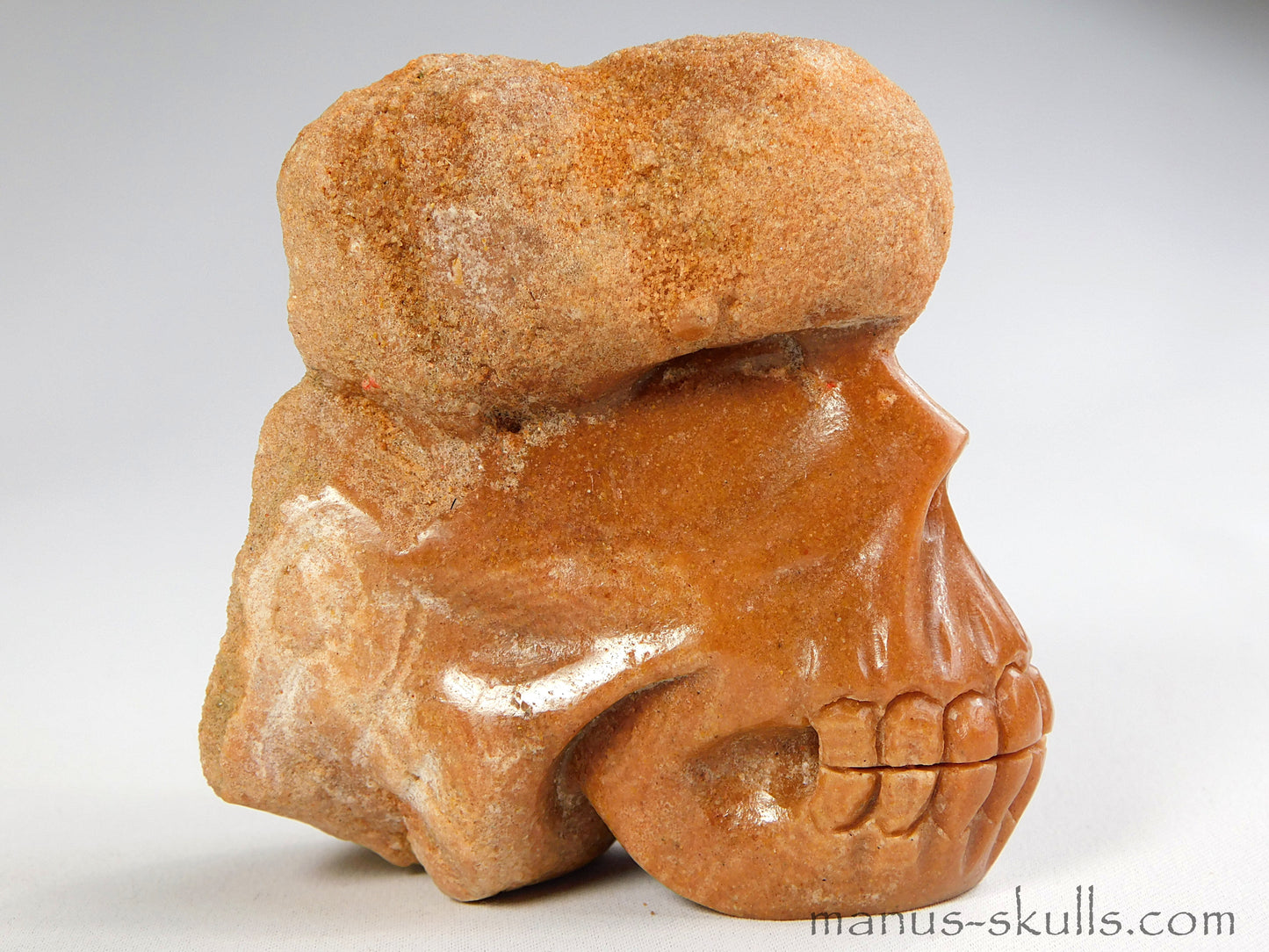 Stromatolite Skull