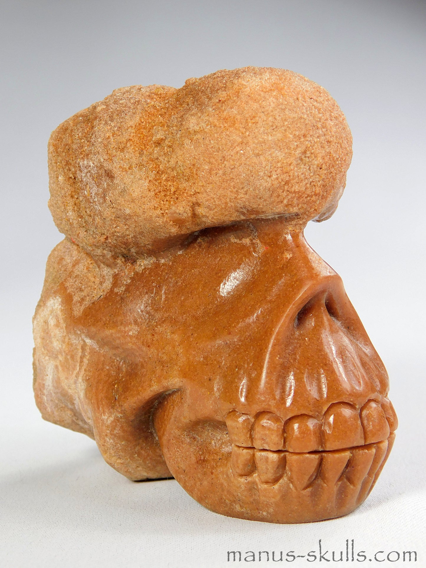 Stromatolite Skull