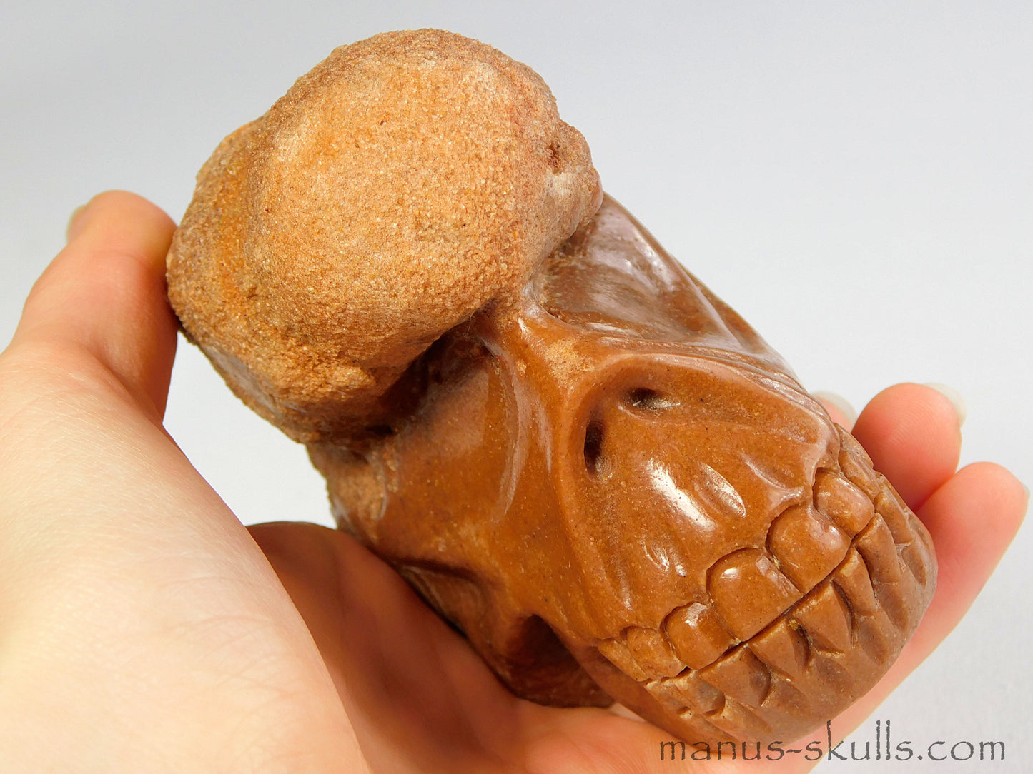 Stromatolite Skull