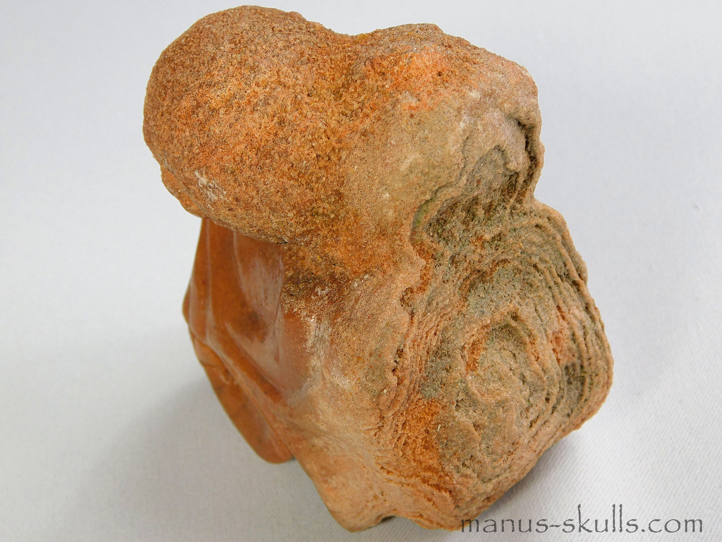 Stromatolite Skull