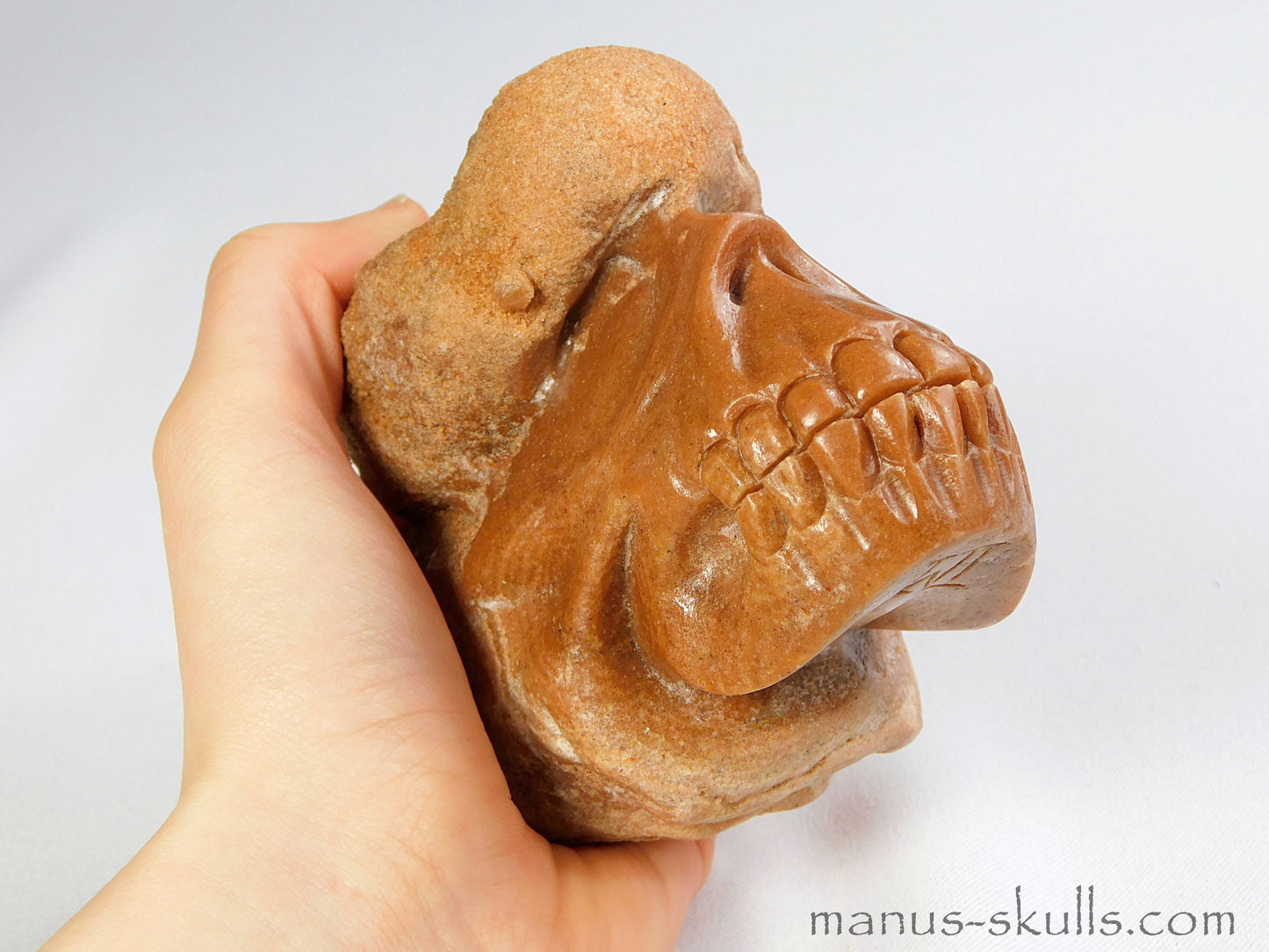 Stromatolite Skull