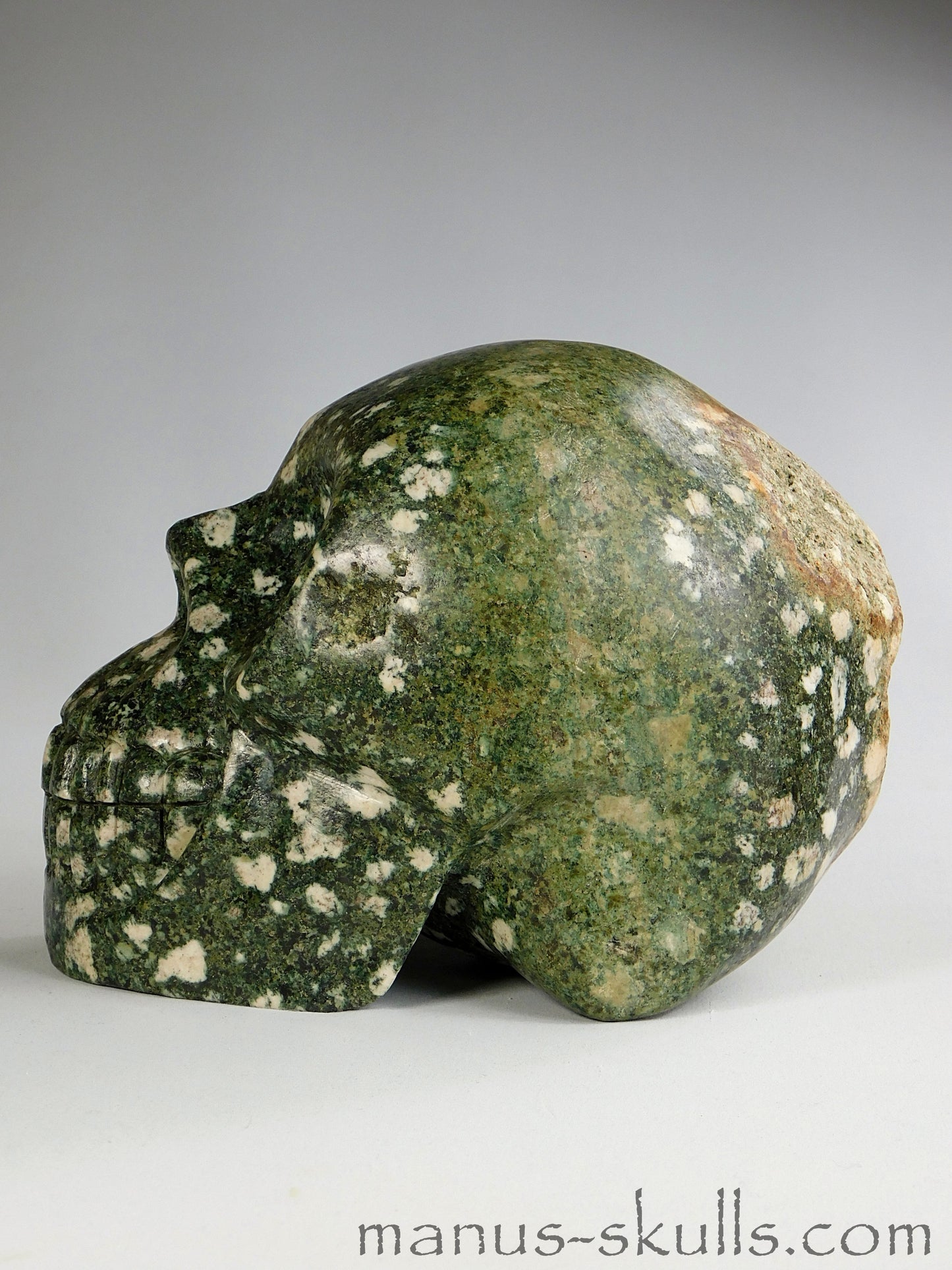 Large Preseli Bluestone Skull