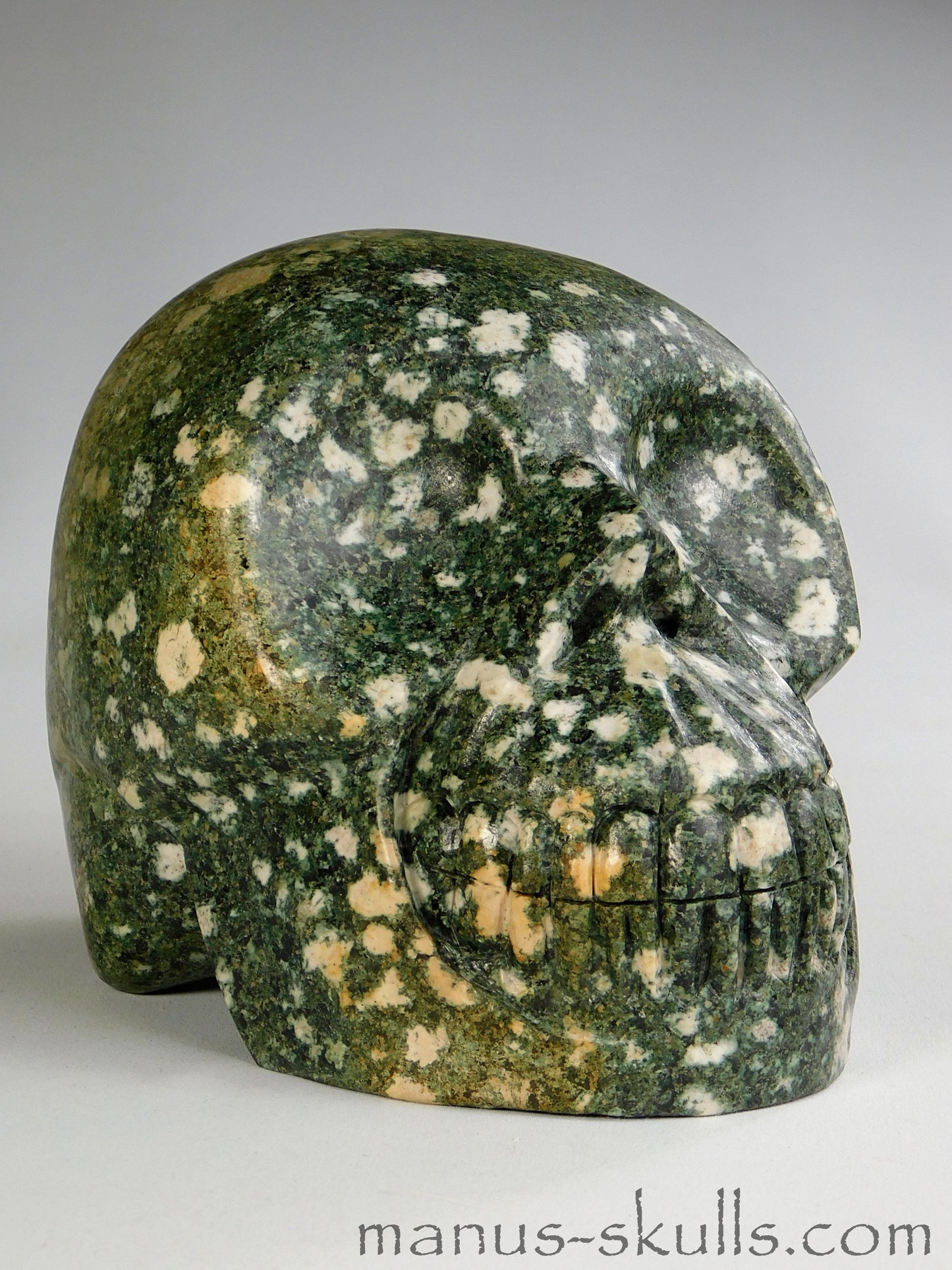 Large Preseli Bluestone Skull