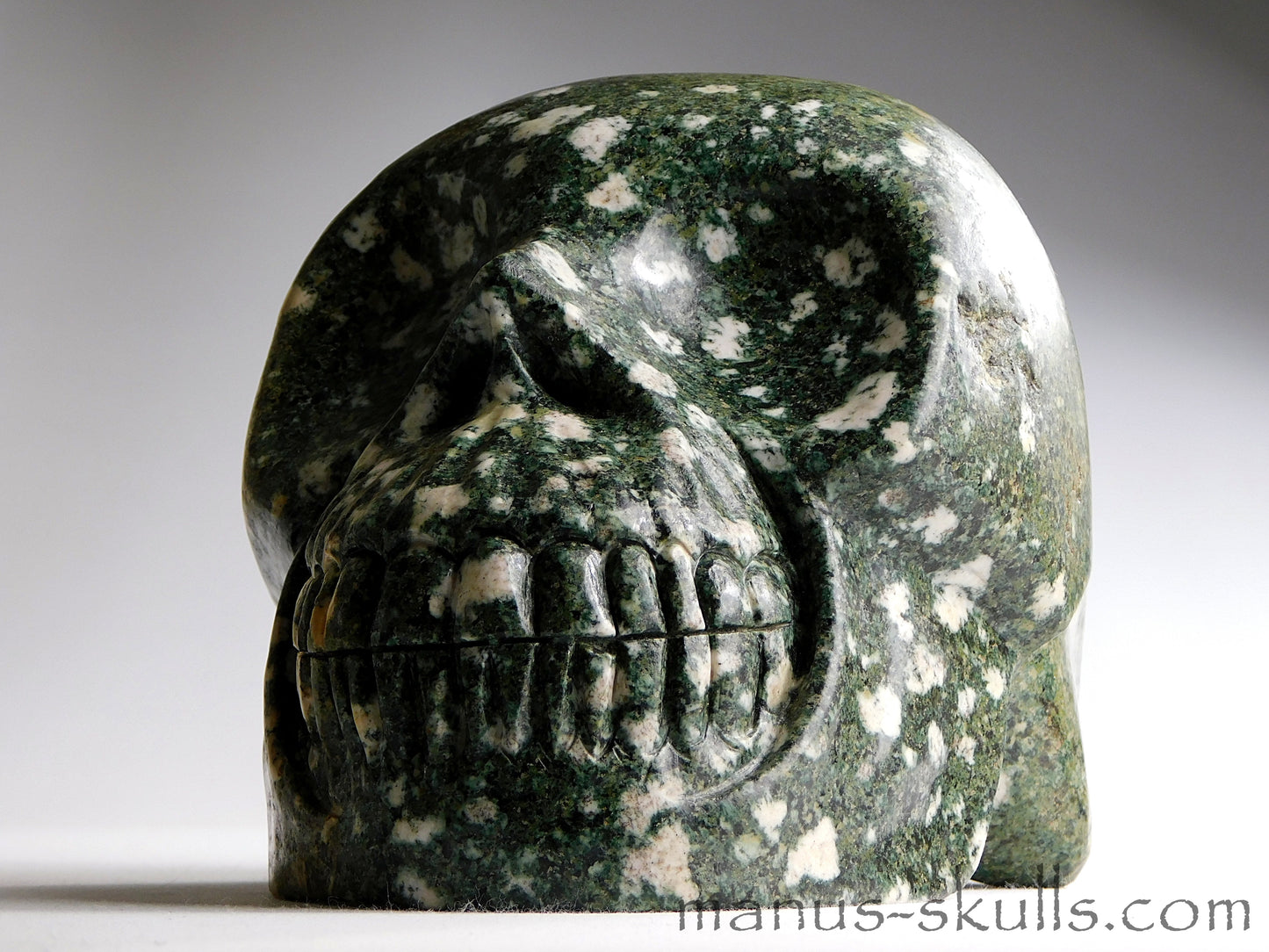 Large Preseli Bluestone Skull