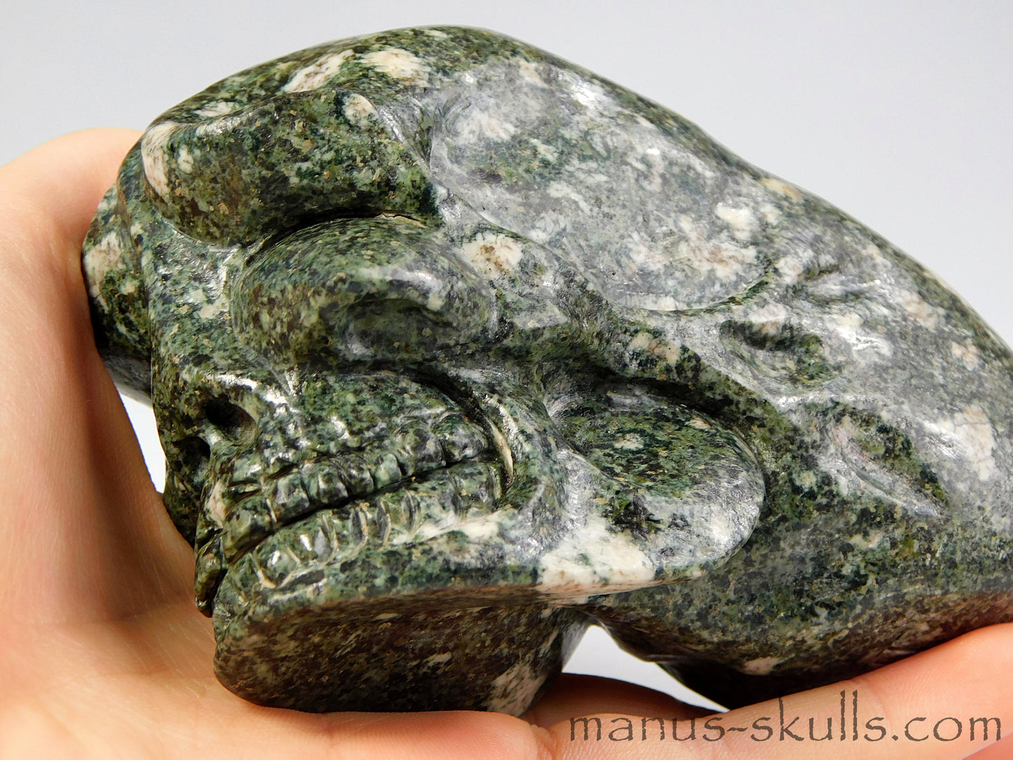Preseli Bluestone traveller Skull