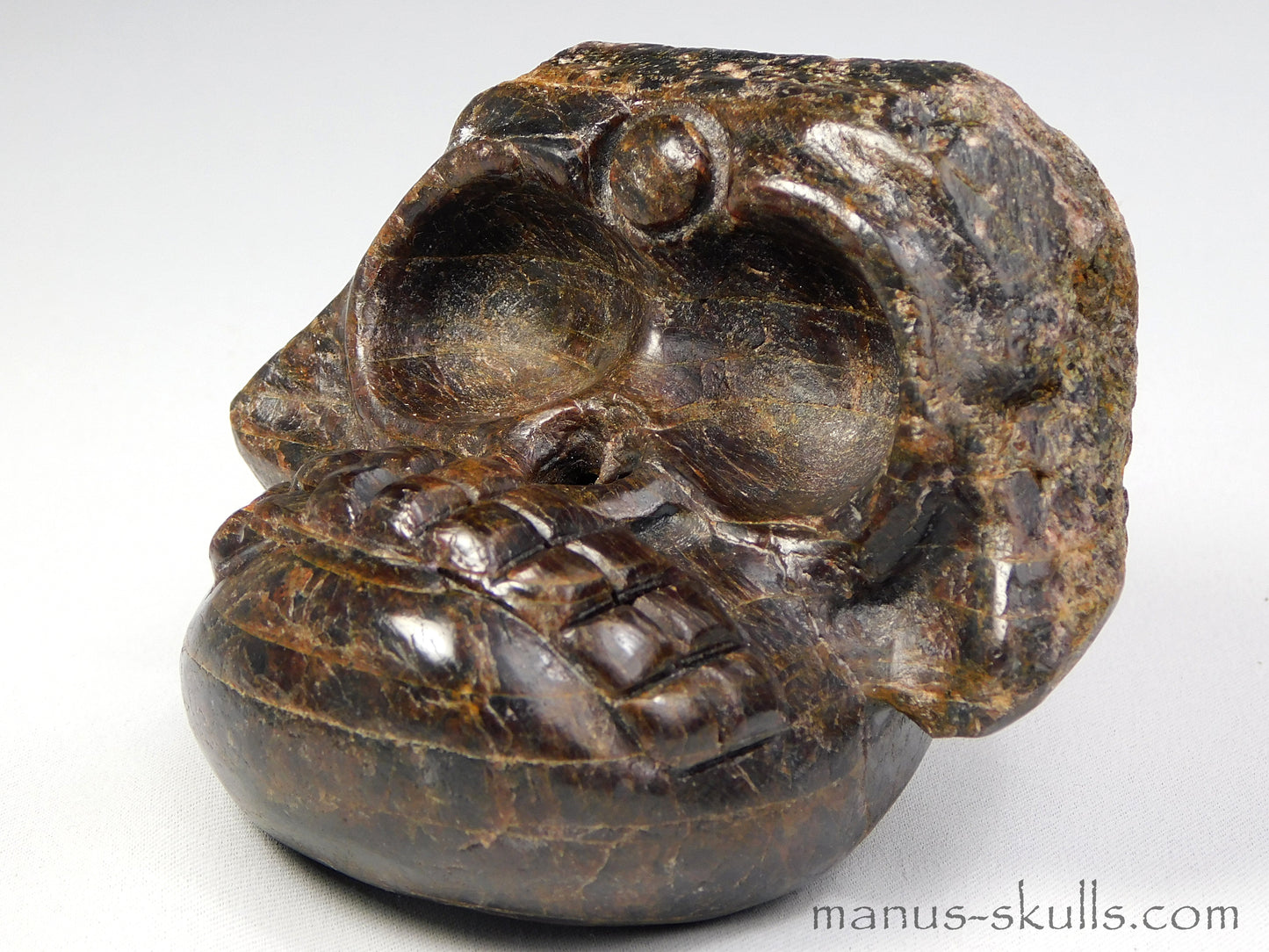 Evolian Manus Skull 2022