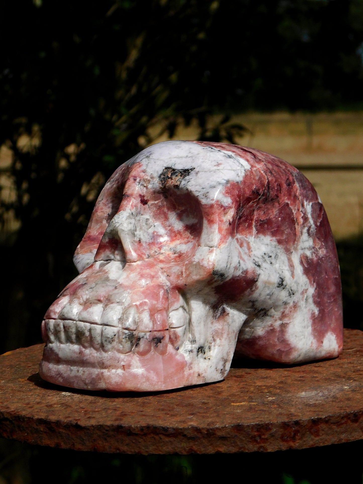 Petalite Skull