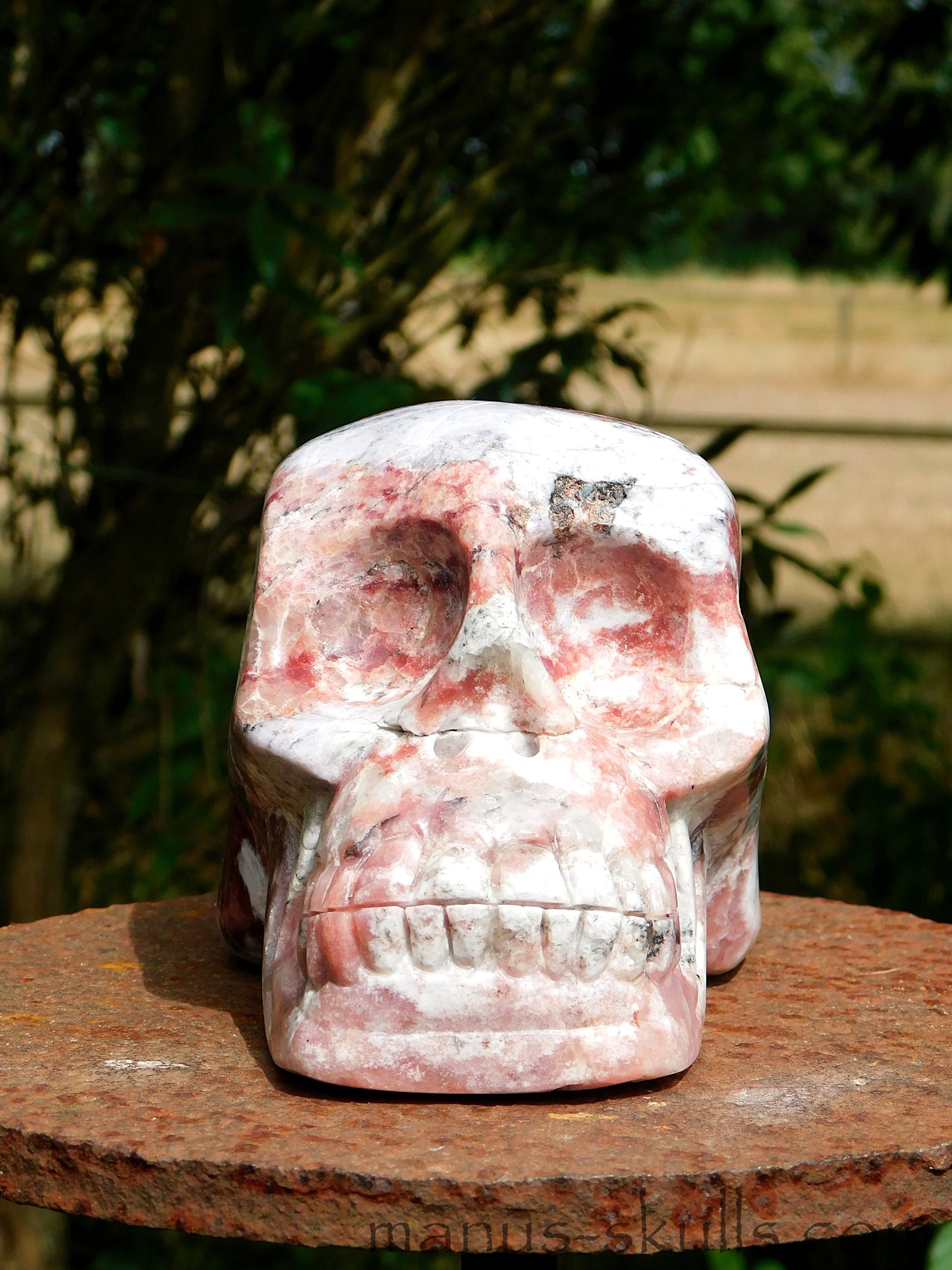 Petalite Skull