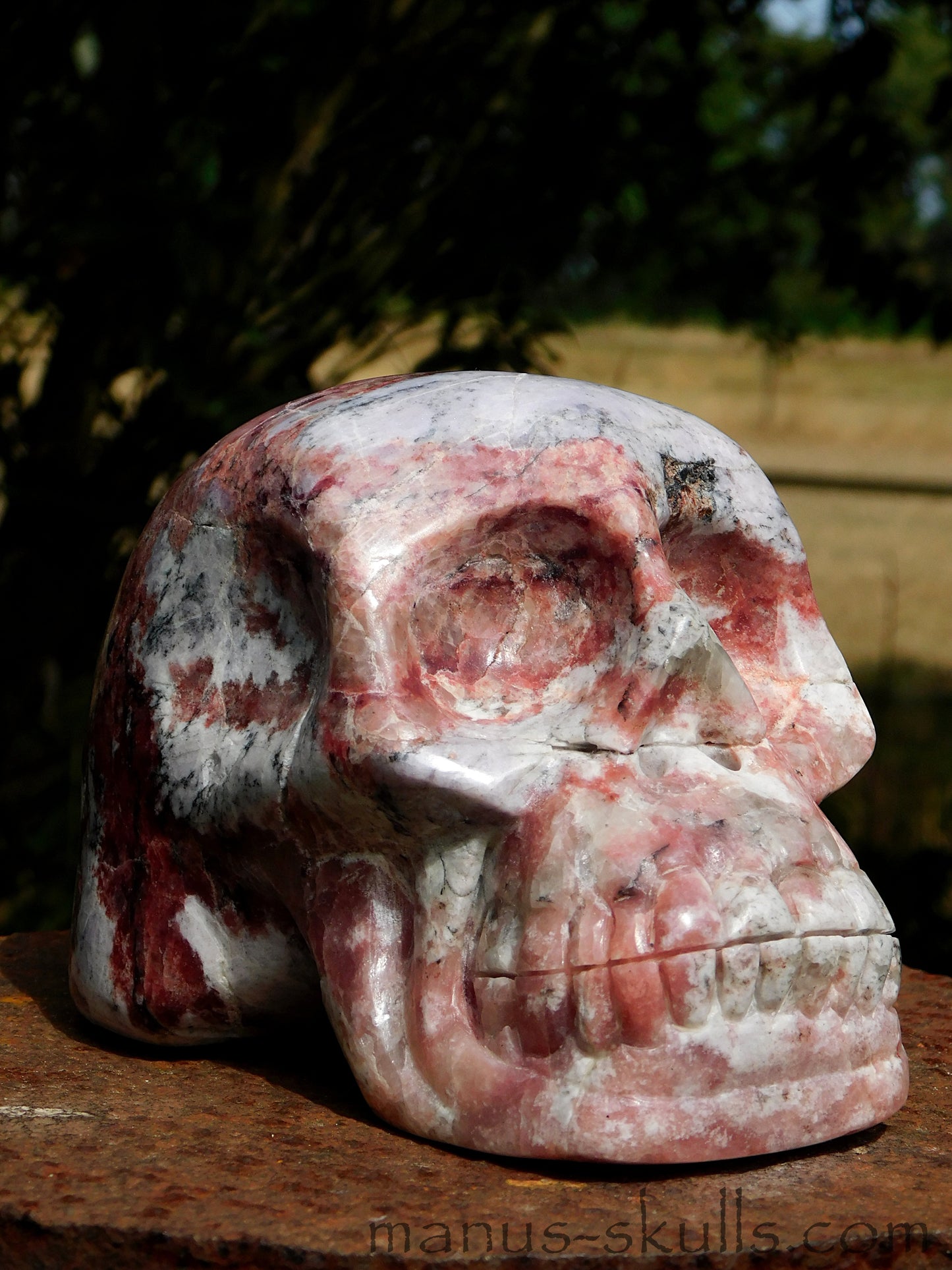 Petalite Skull