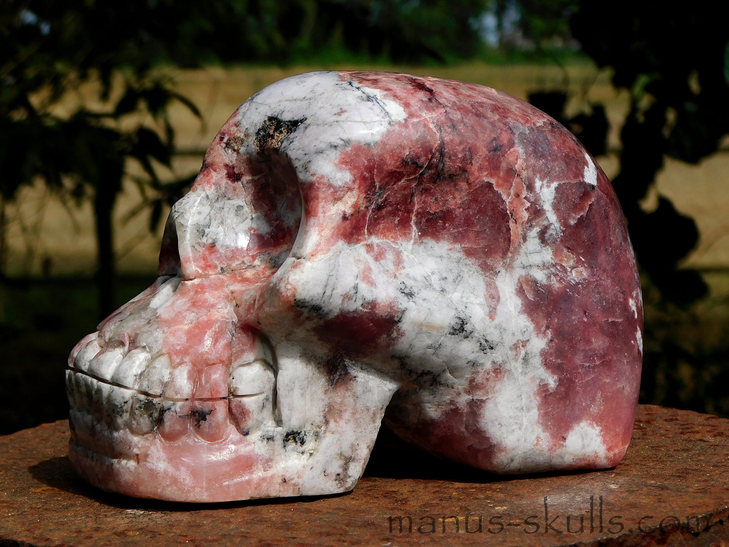 Petalite Skull