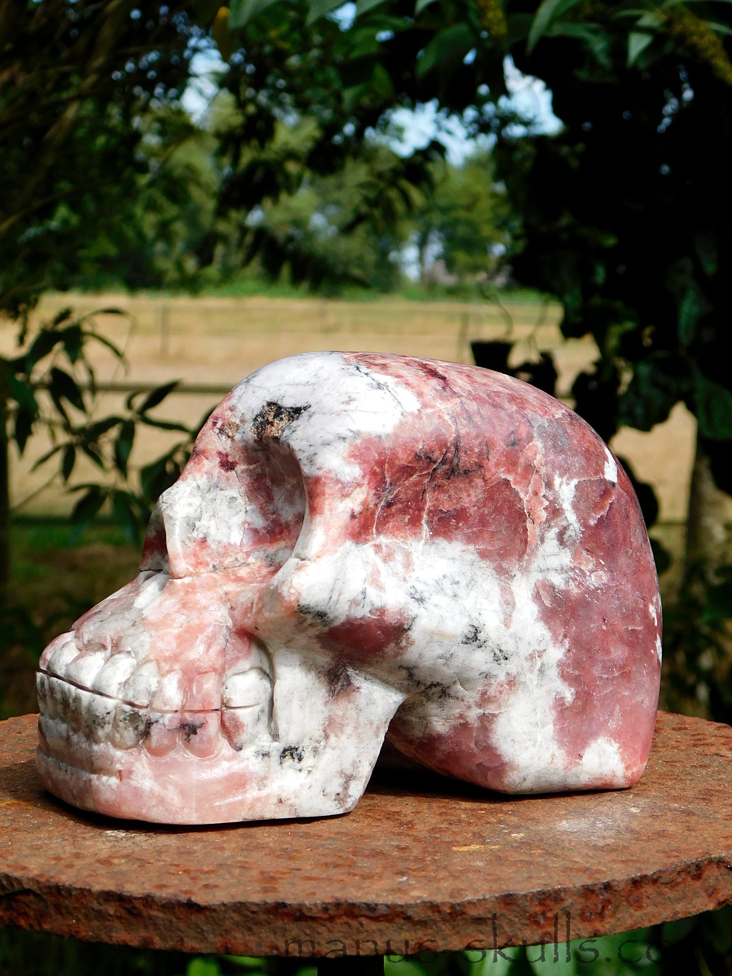 Petalite Skull